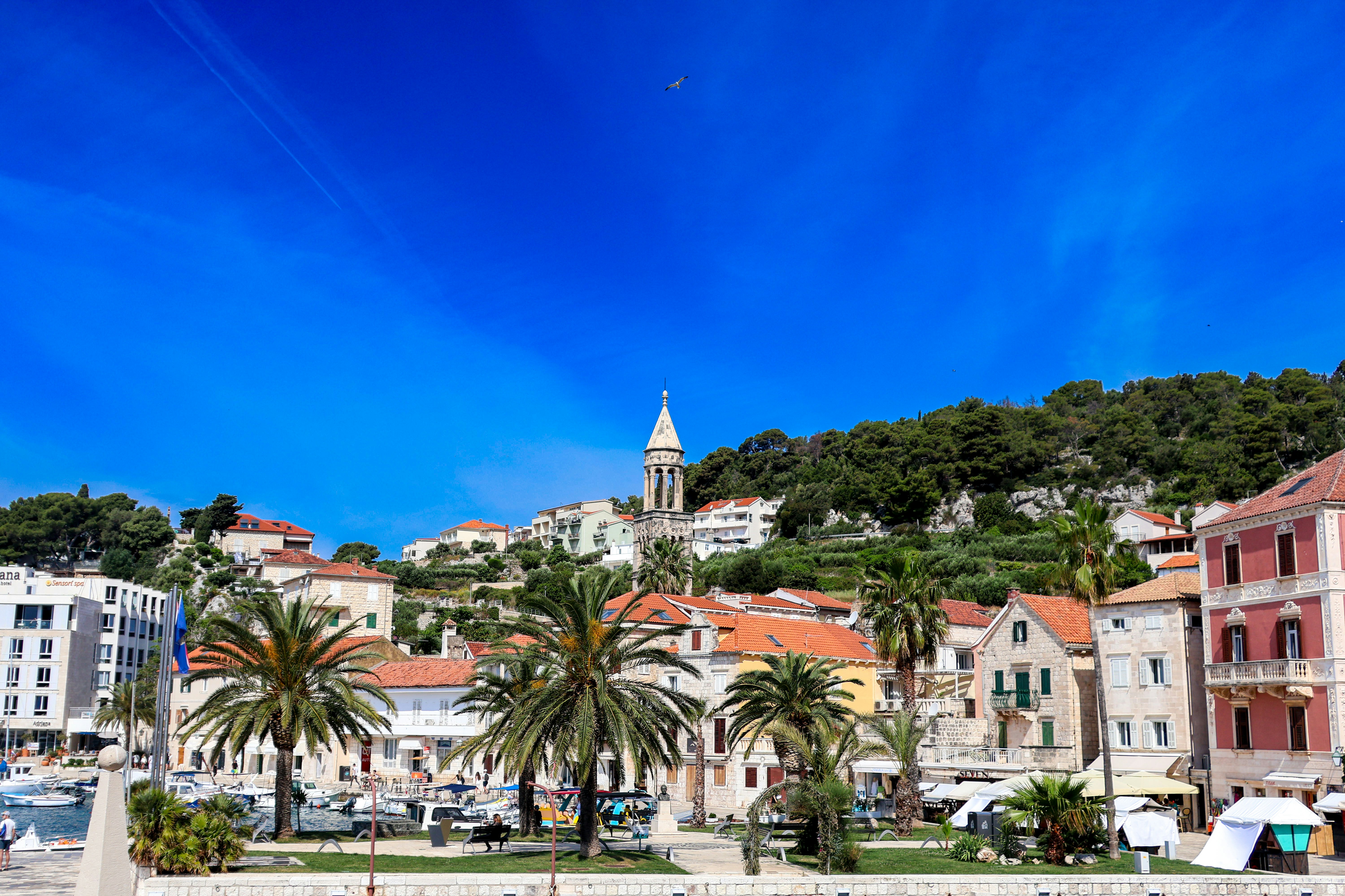 Photo by traveleroohlala