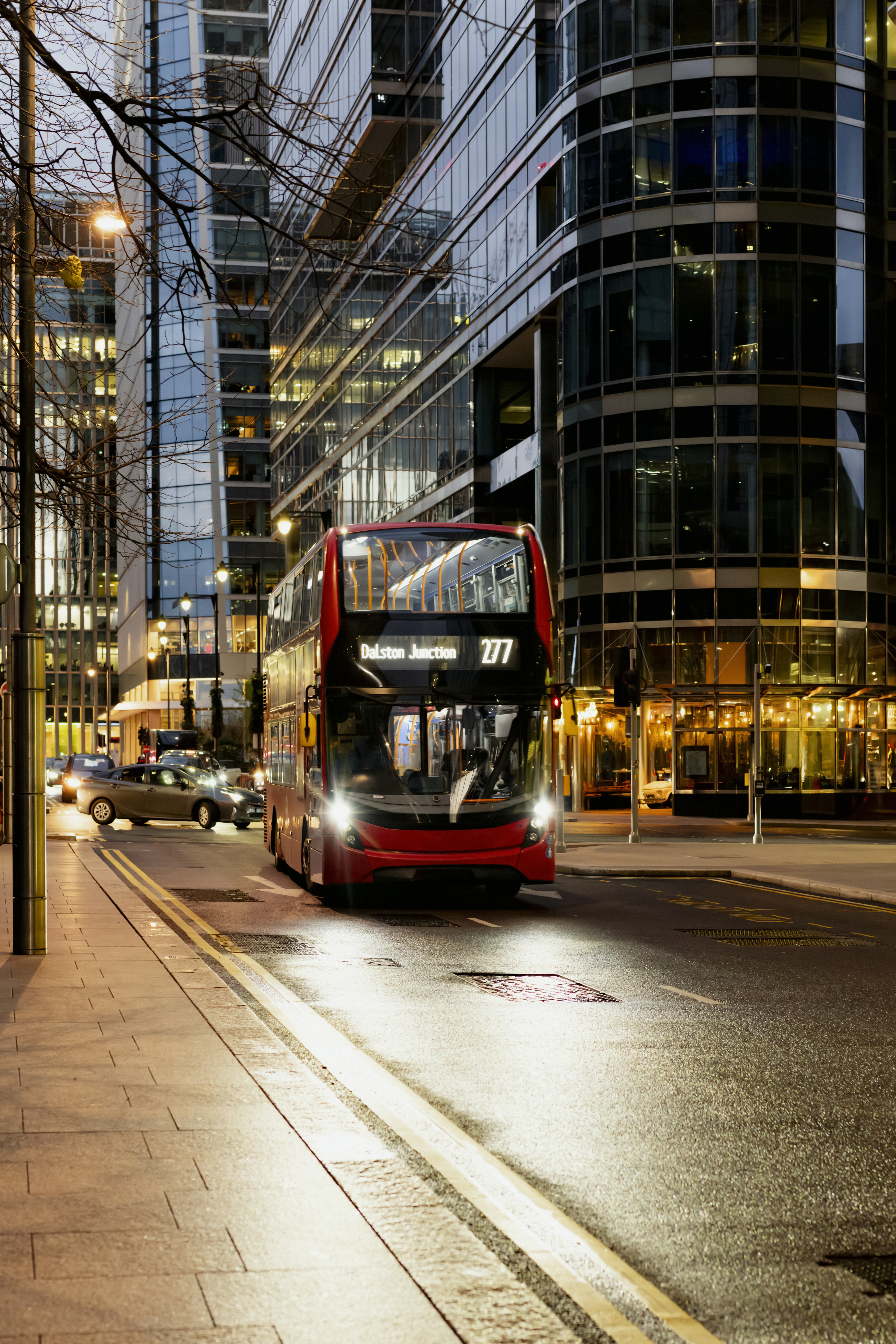 Photo by lauraadaiphoto