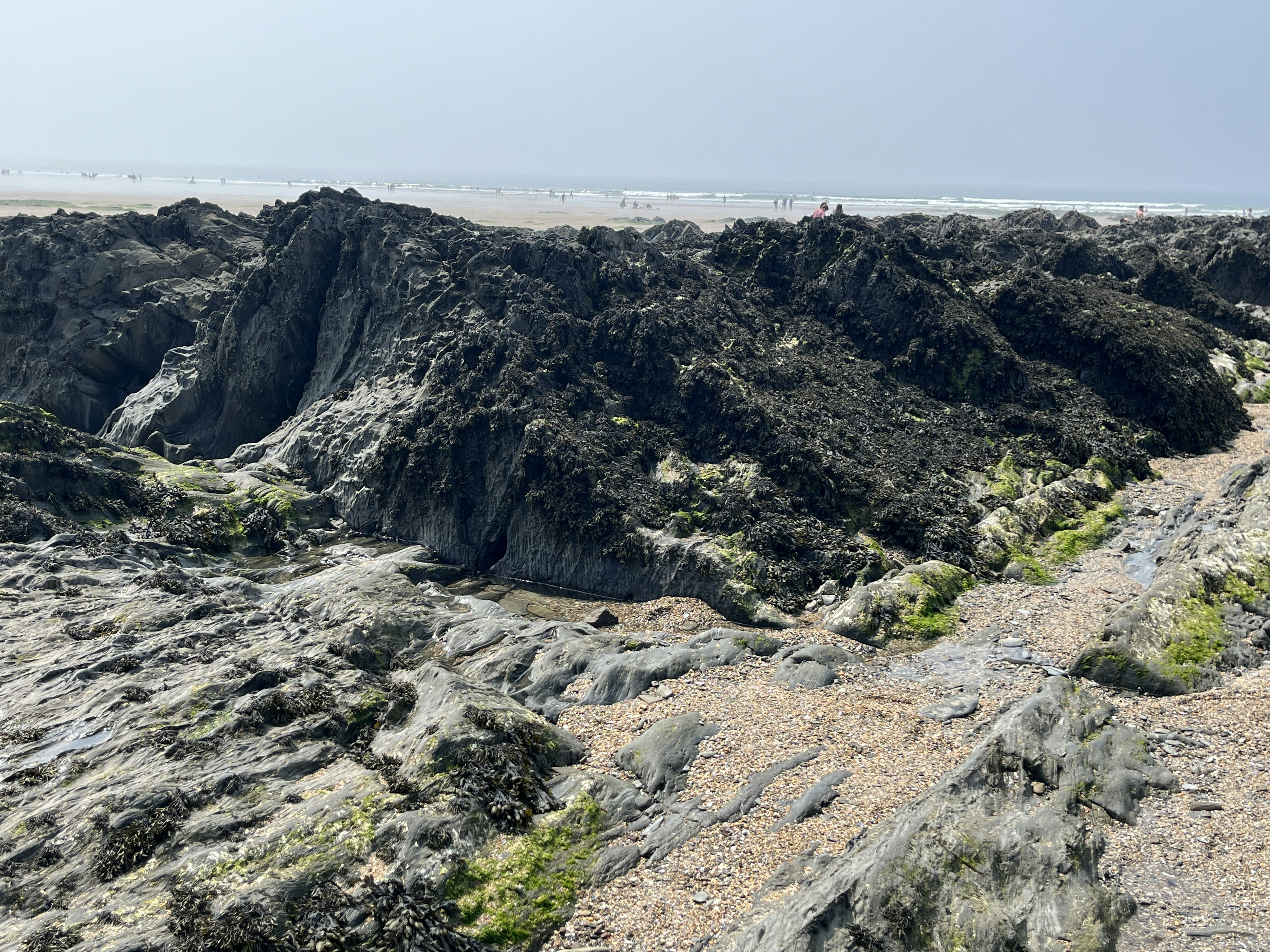 a group of people walking on a rocky beach