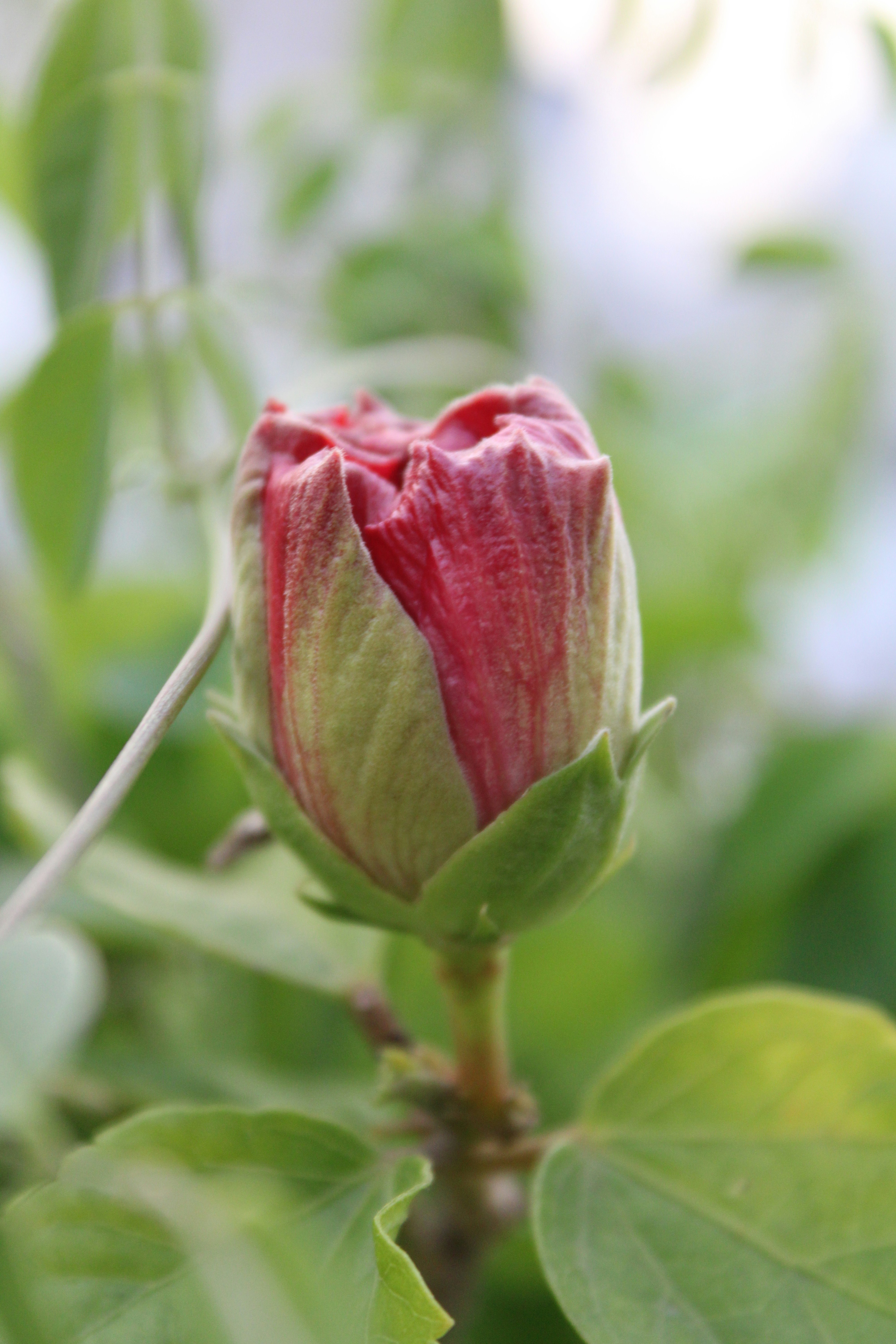 Photo by photoloveramico