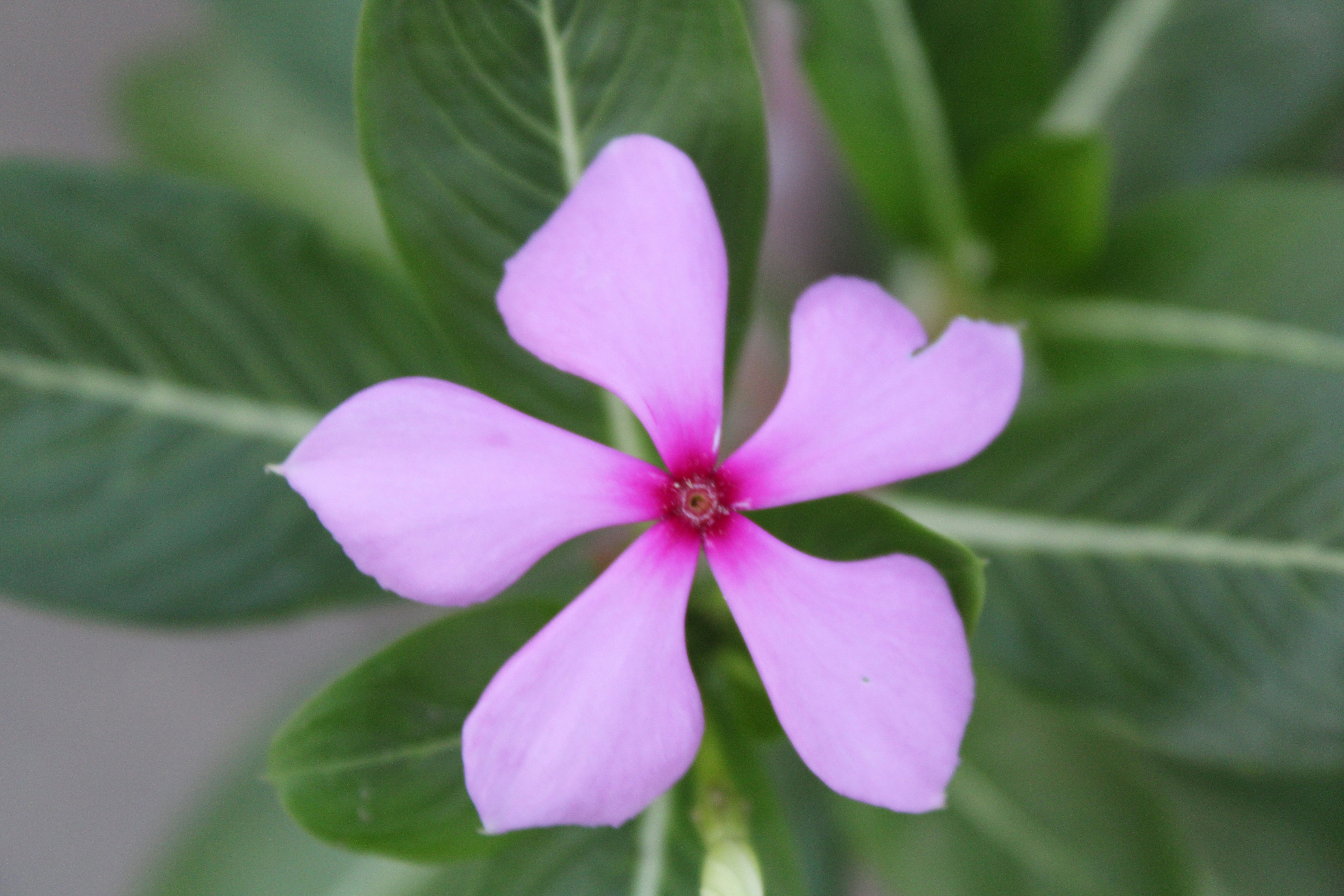 Photo by photoloveramico