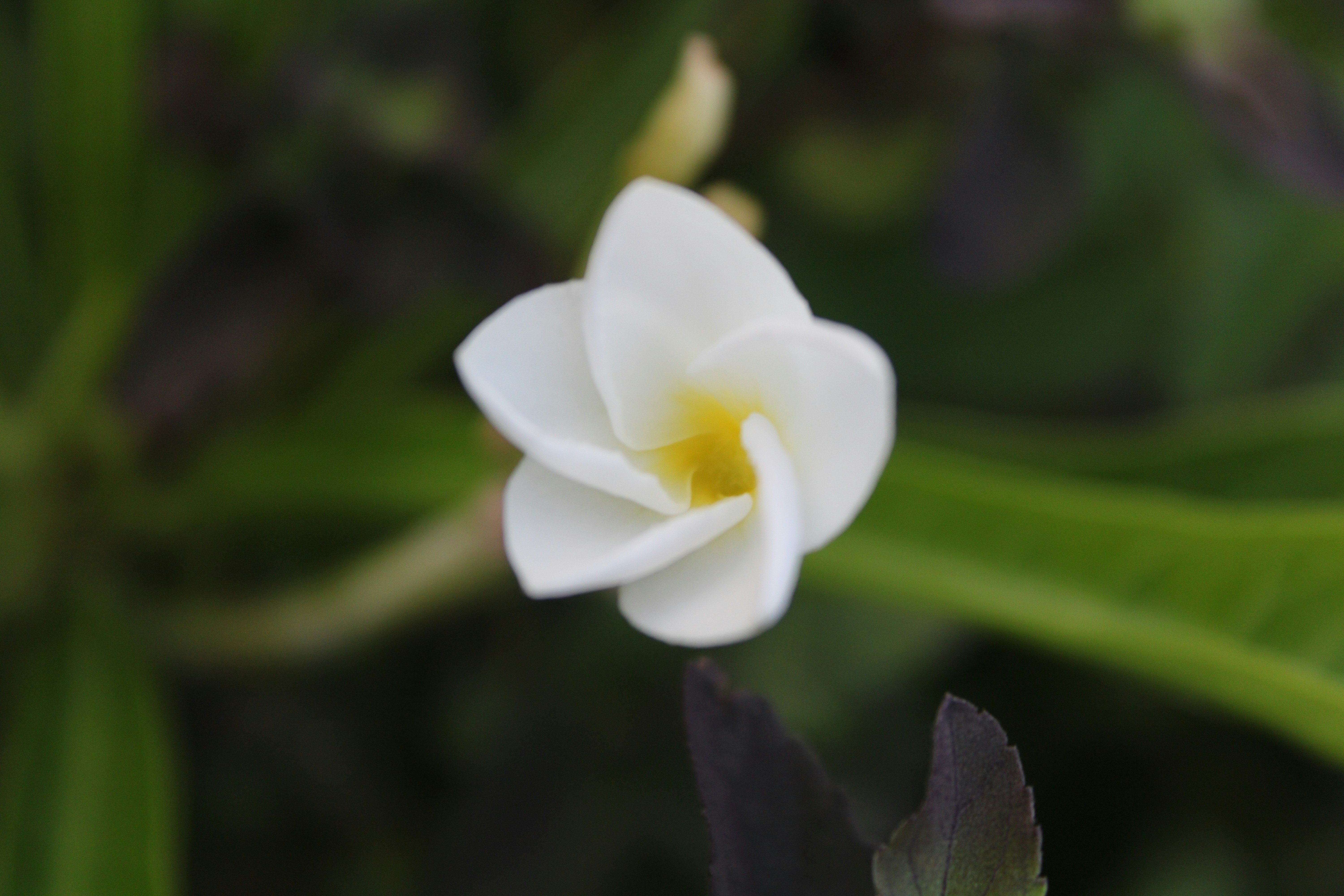 Photo by photoloveramico