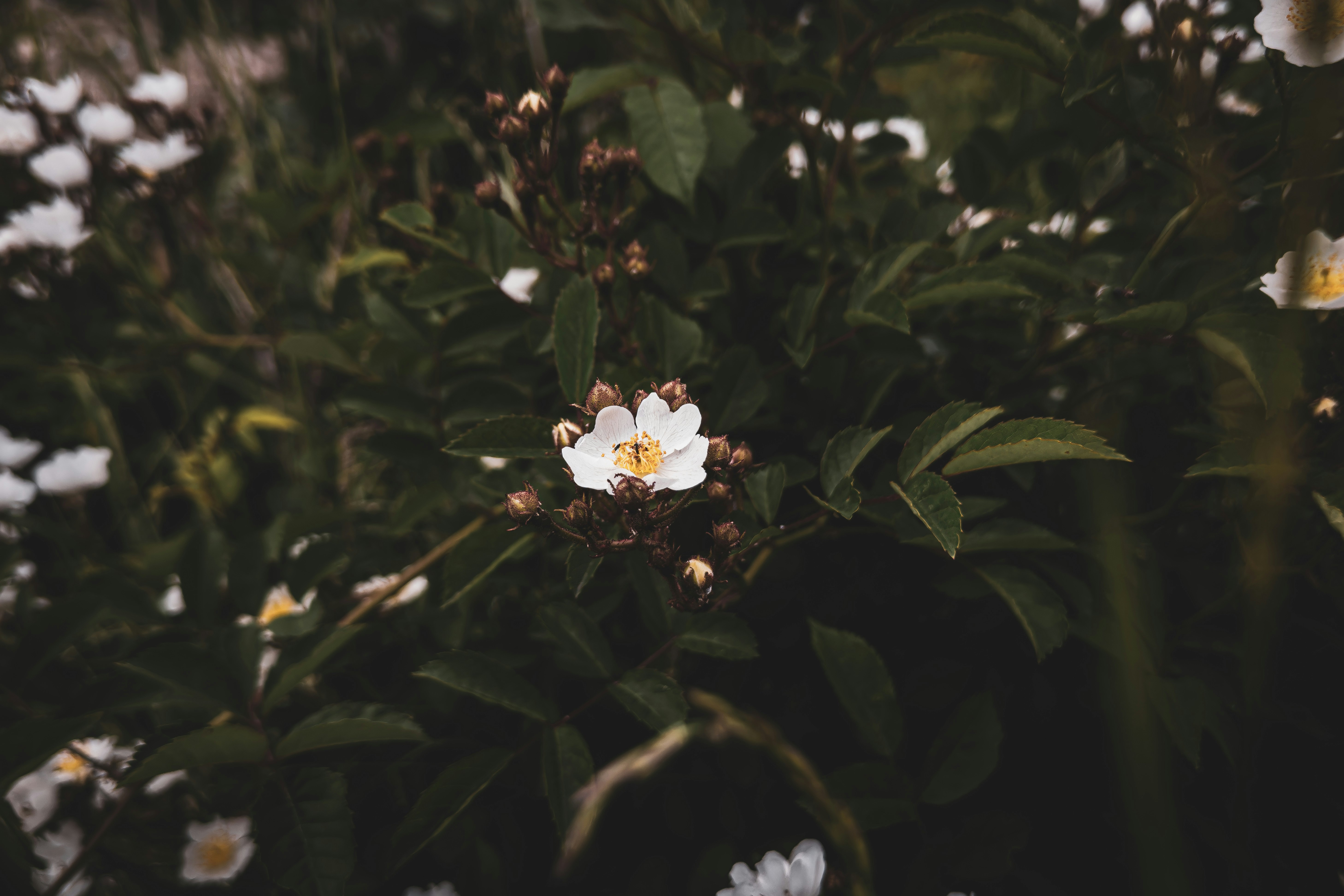 Photo by yeon01050508