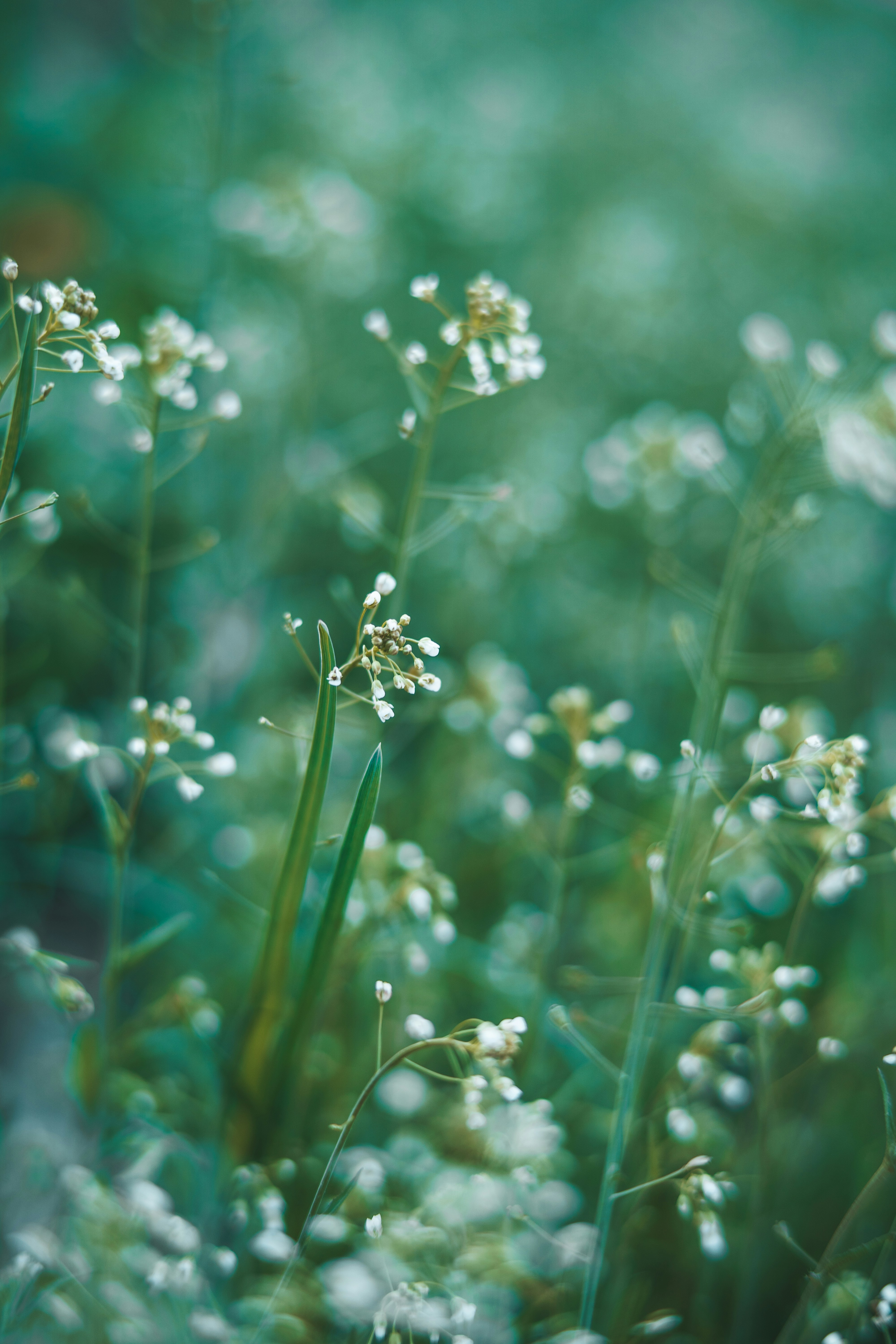 Photo by anamnesis33