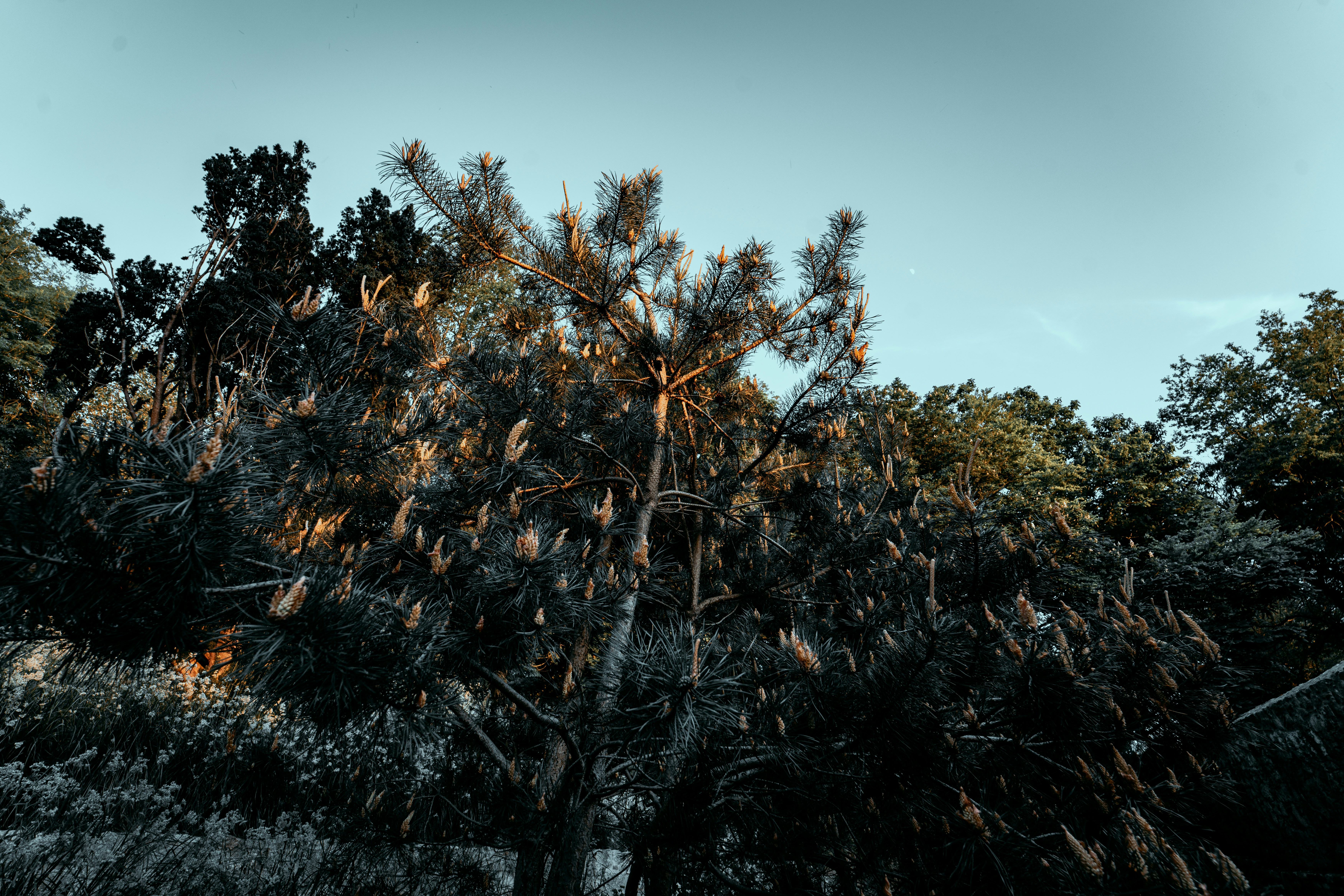 Photo by margauxbebin