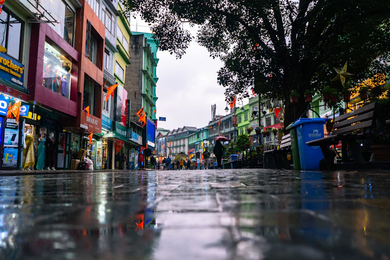 Best Budget Eats in Gangtok: Great Food Without the Big Bill