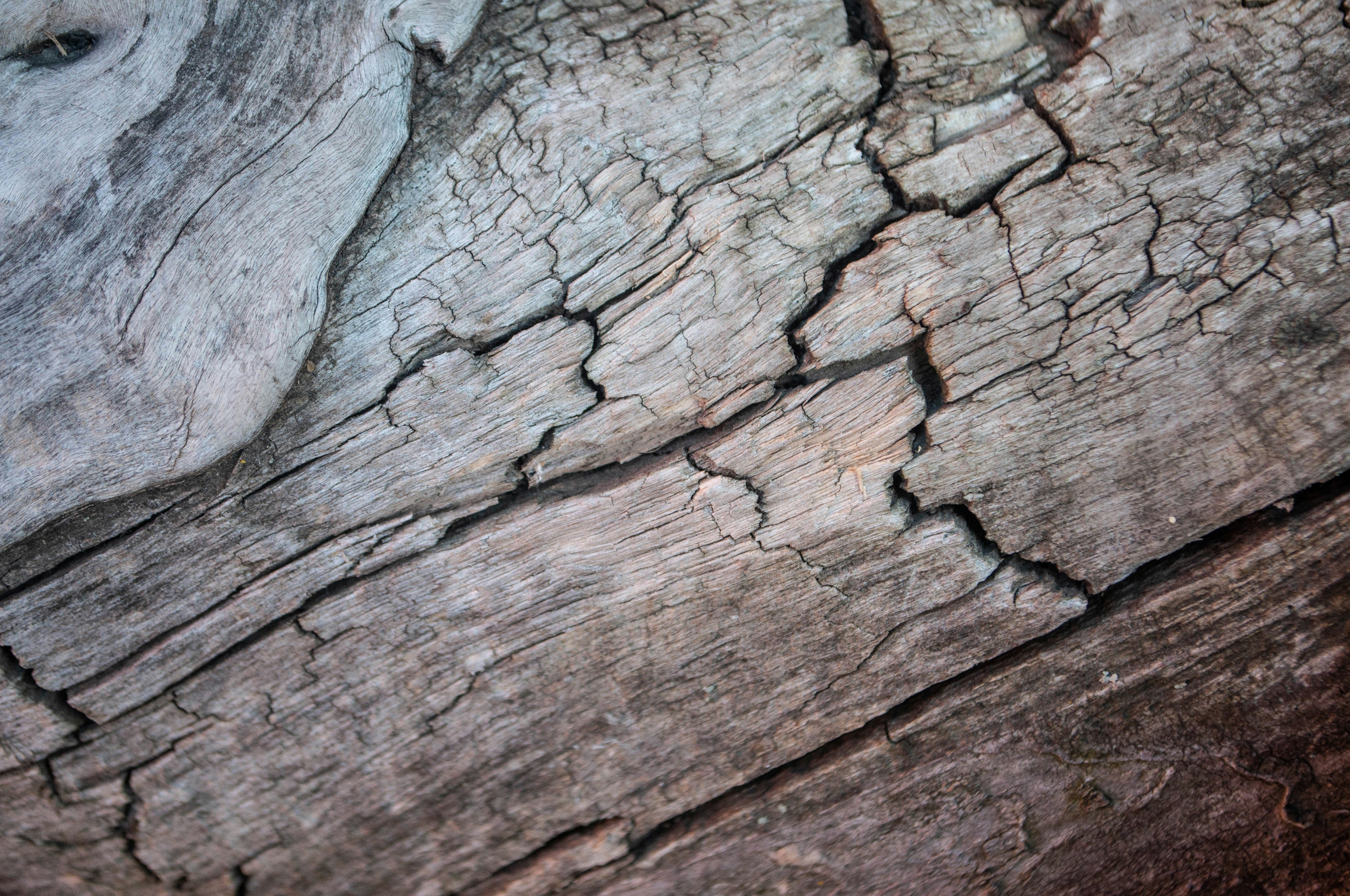 a close up of a piece of wood with cracks