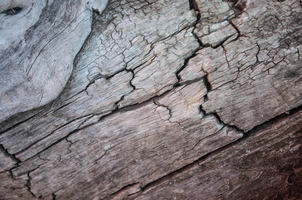 a close up of a piece of wood with cracks