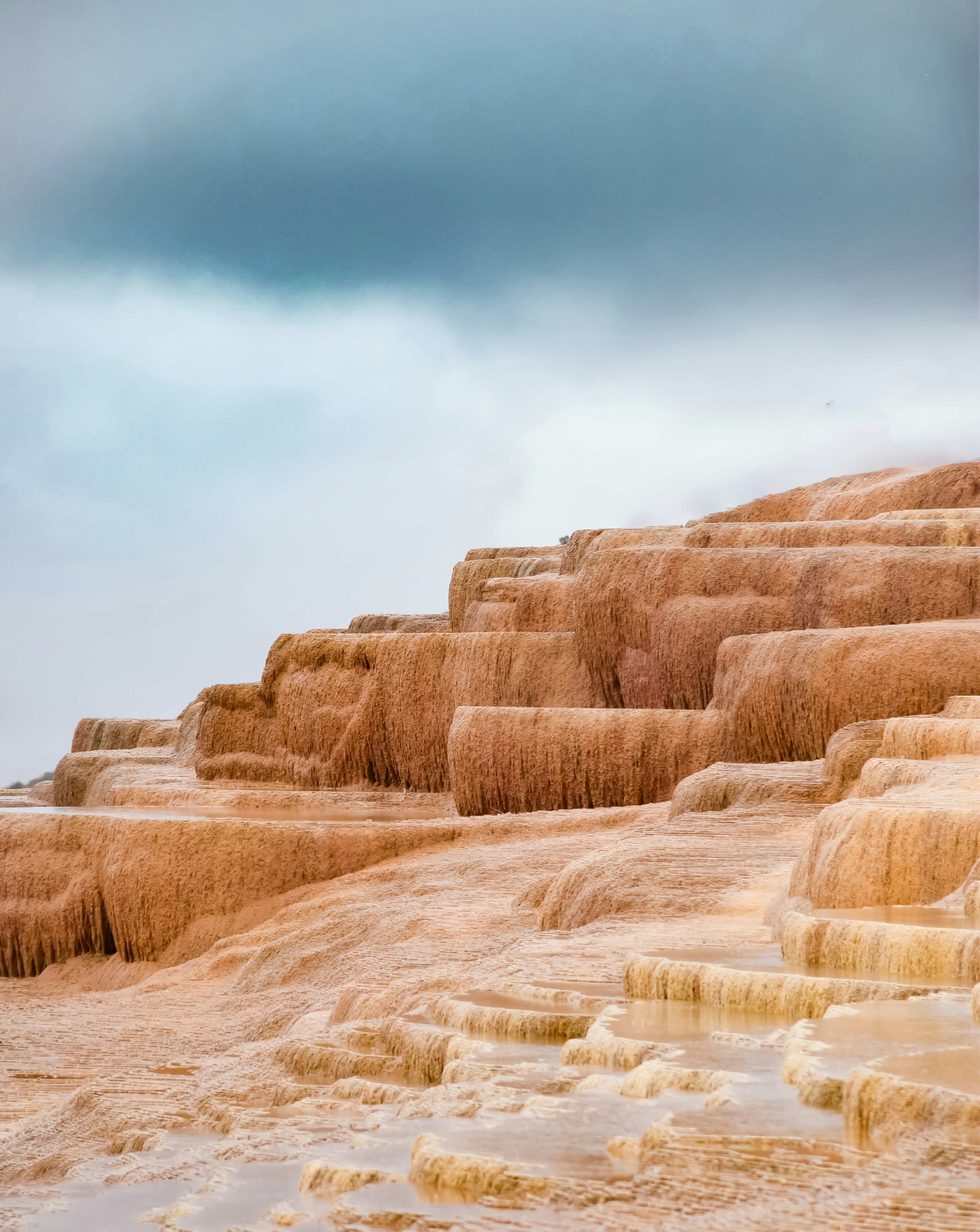 Photo by mahtaparsafar