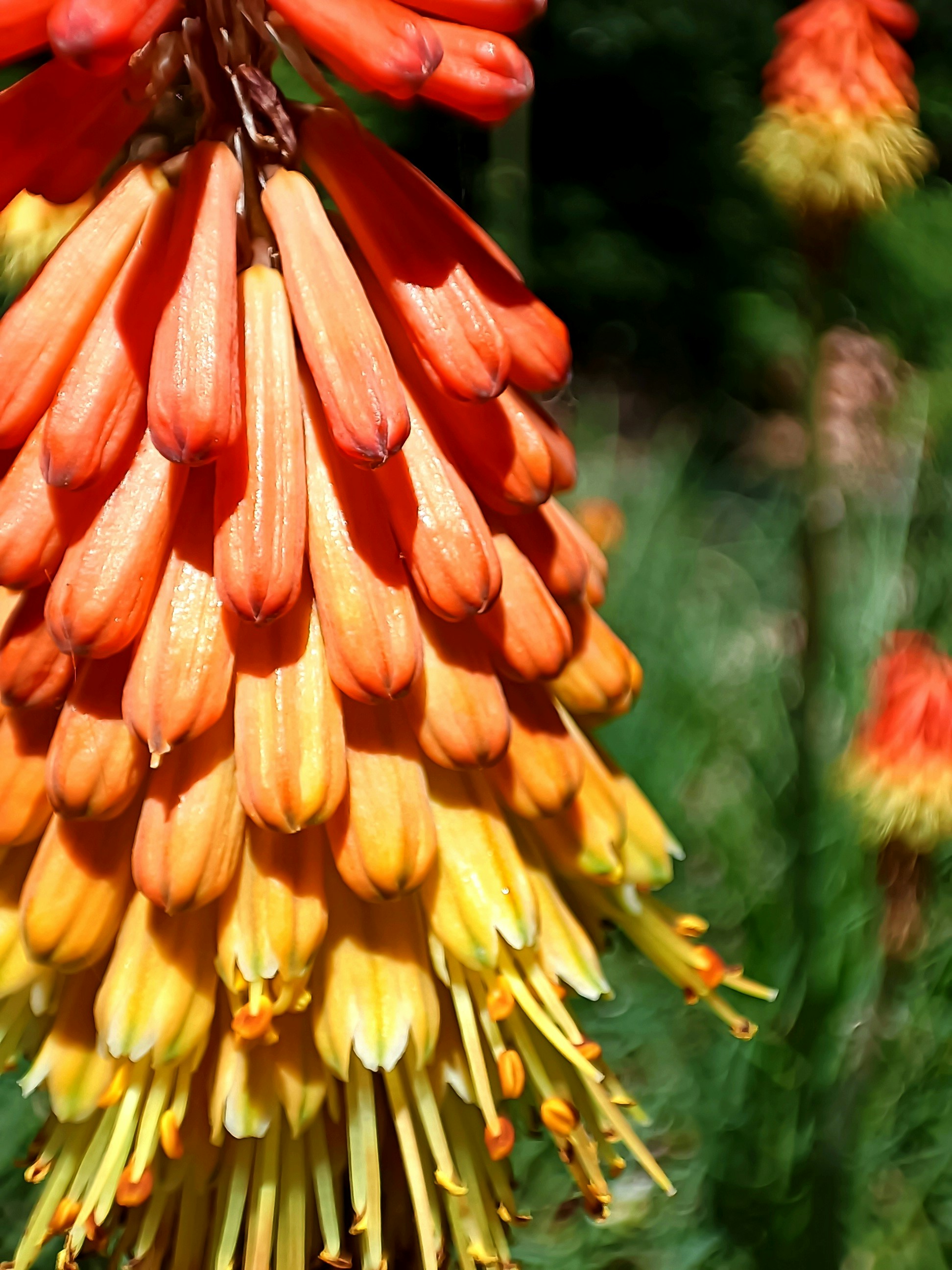 Photo by alirezamoslehii