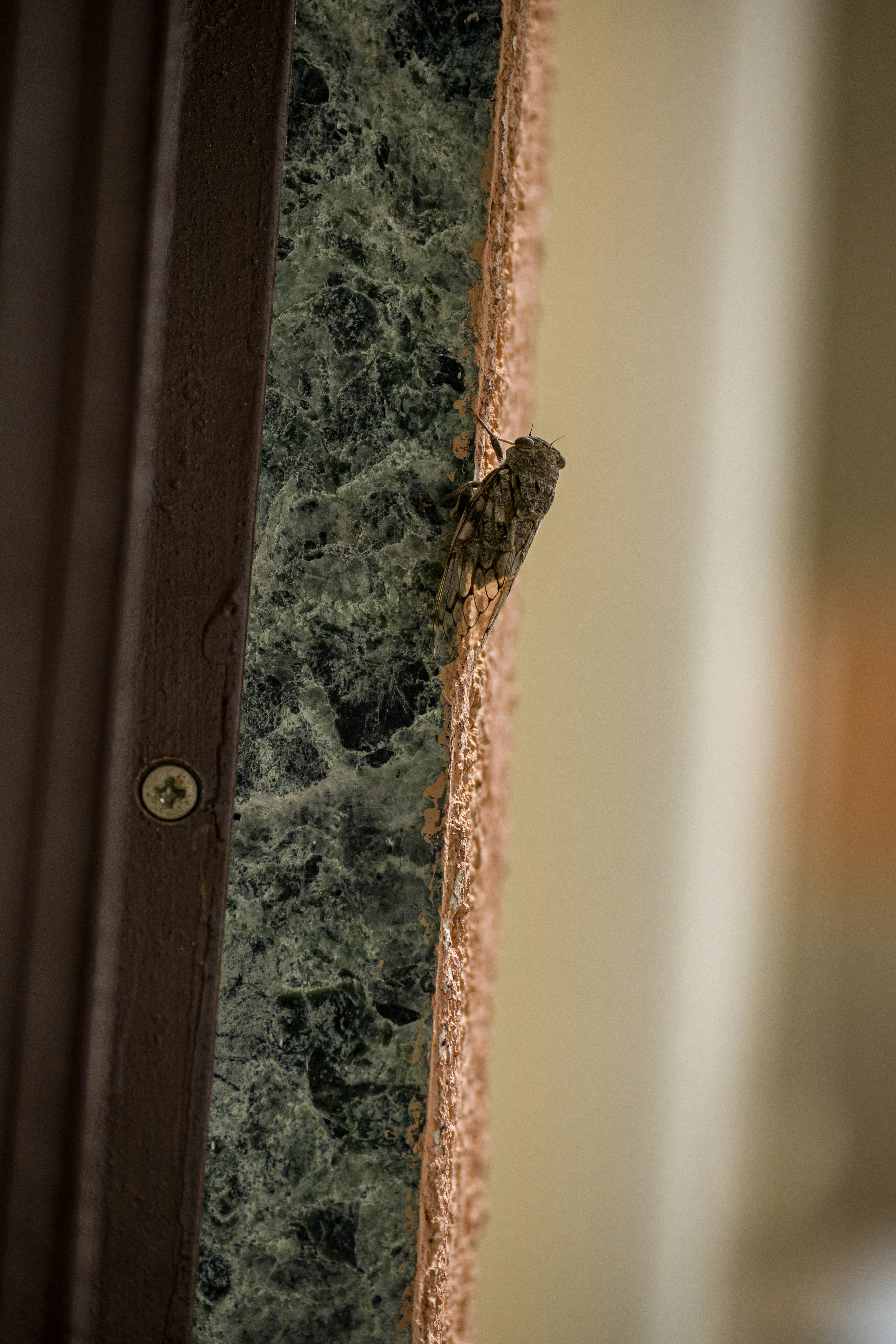 a bird is sitting on the edge of a door