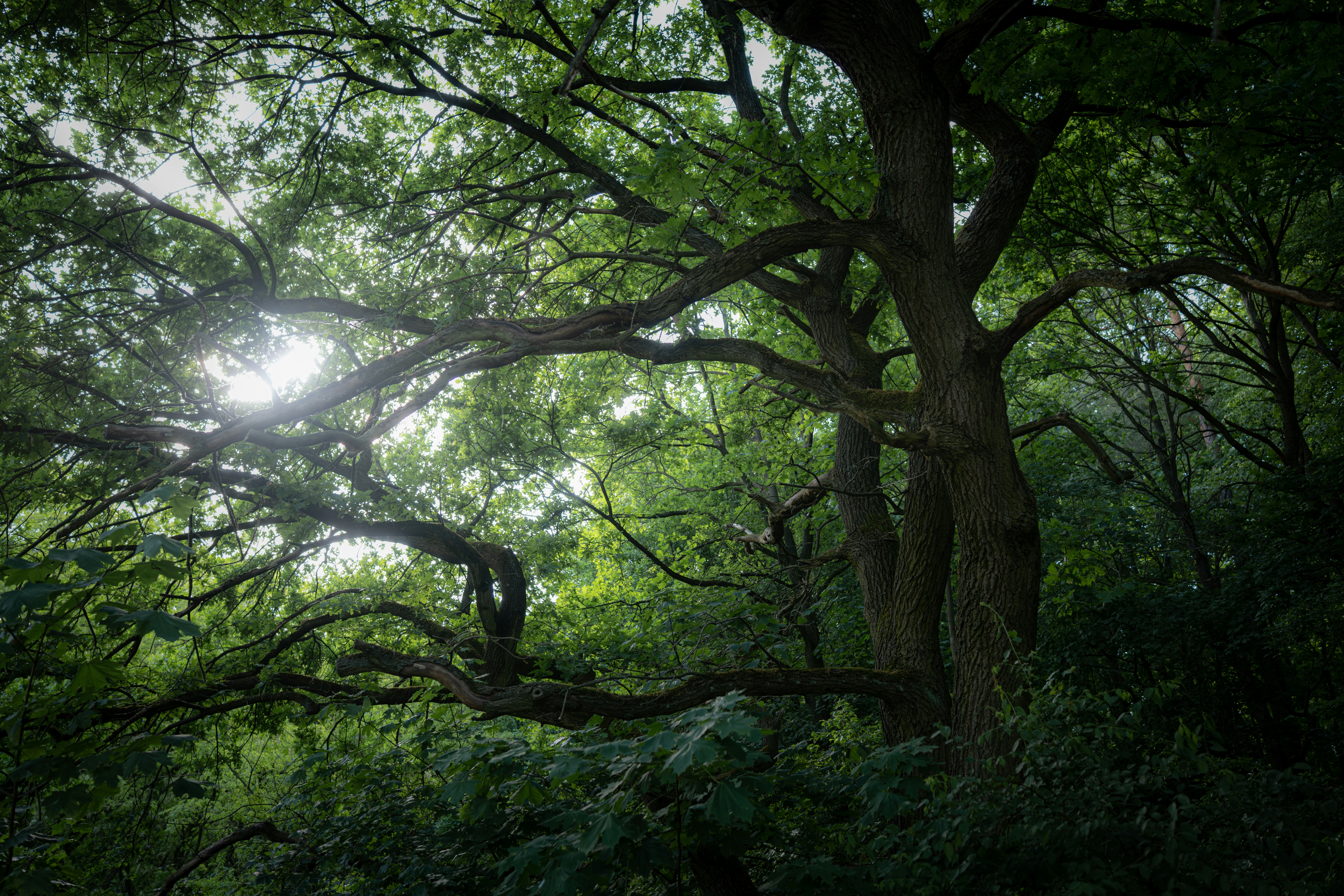 Photo by victor_vector