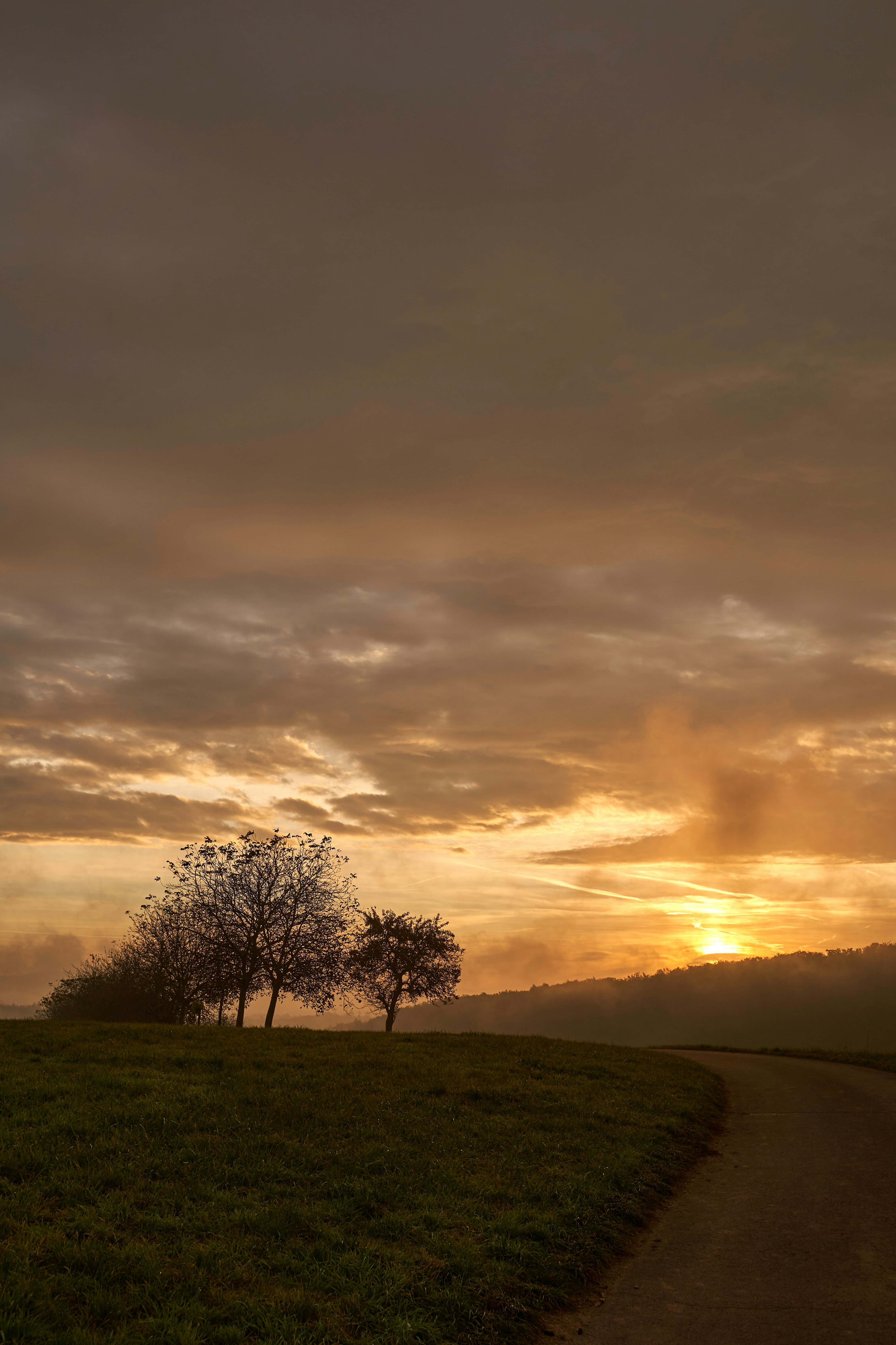 Photo by wolfgang_hasselmann