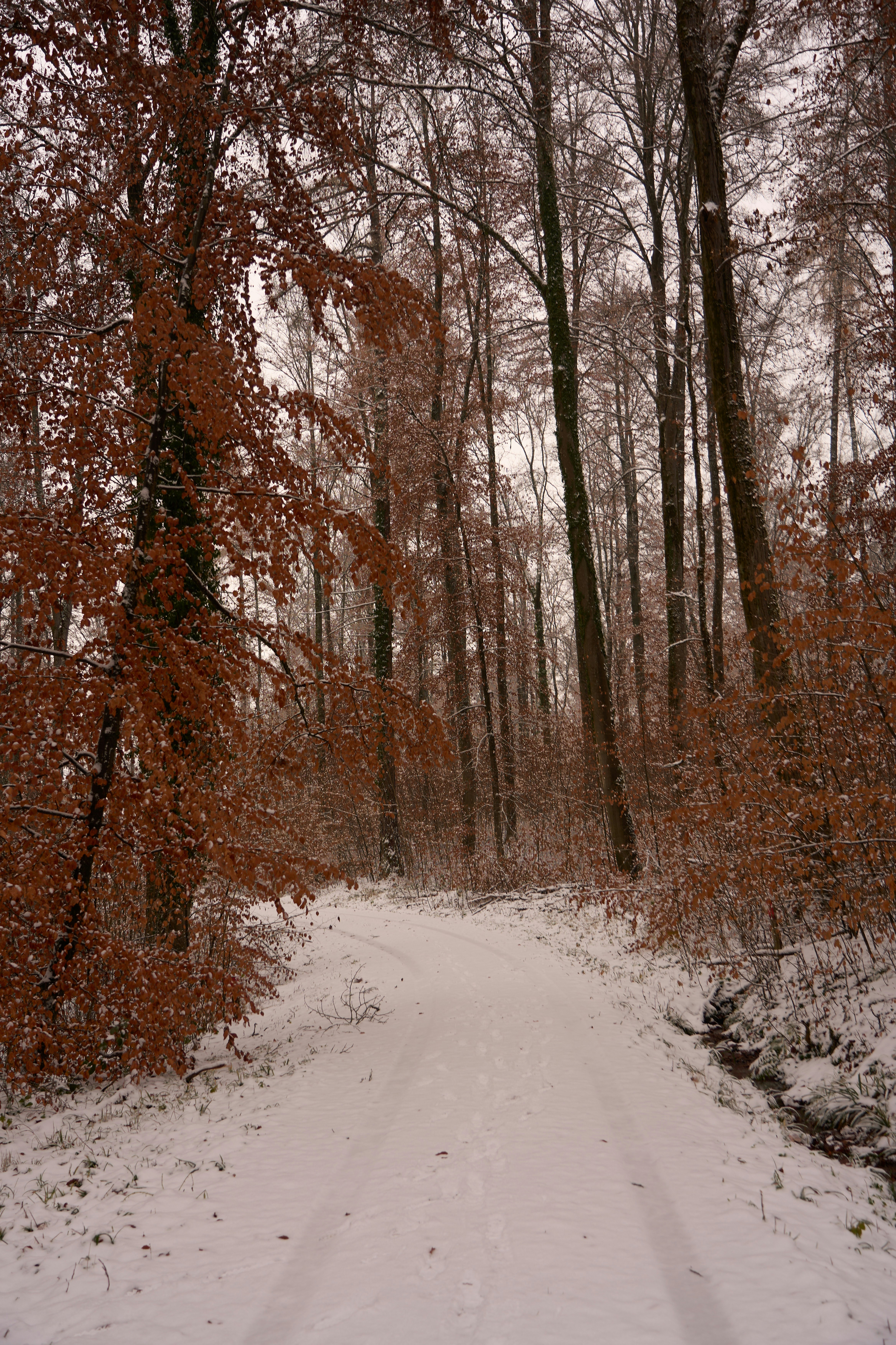 Photo by wolfgang_hasselmann