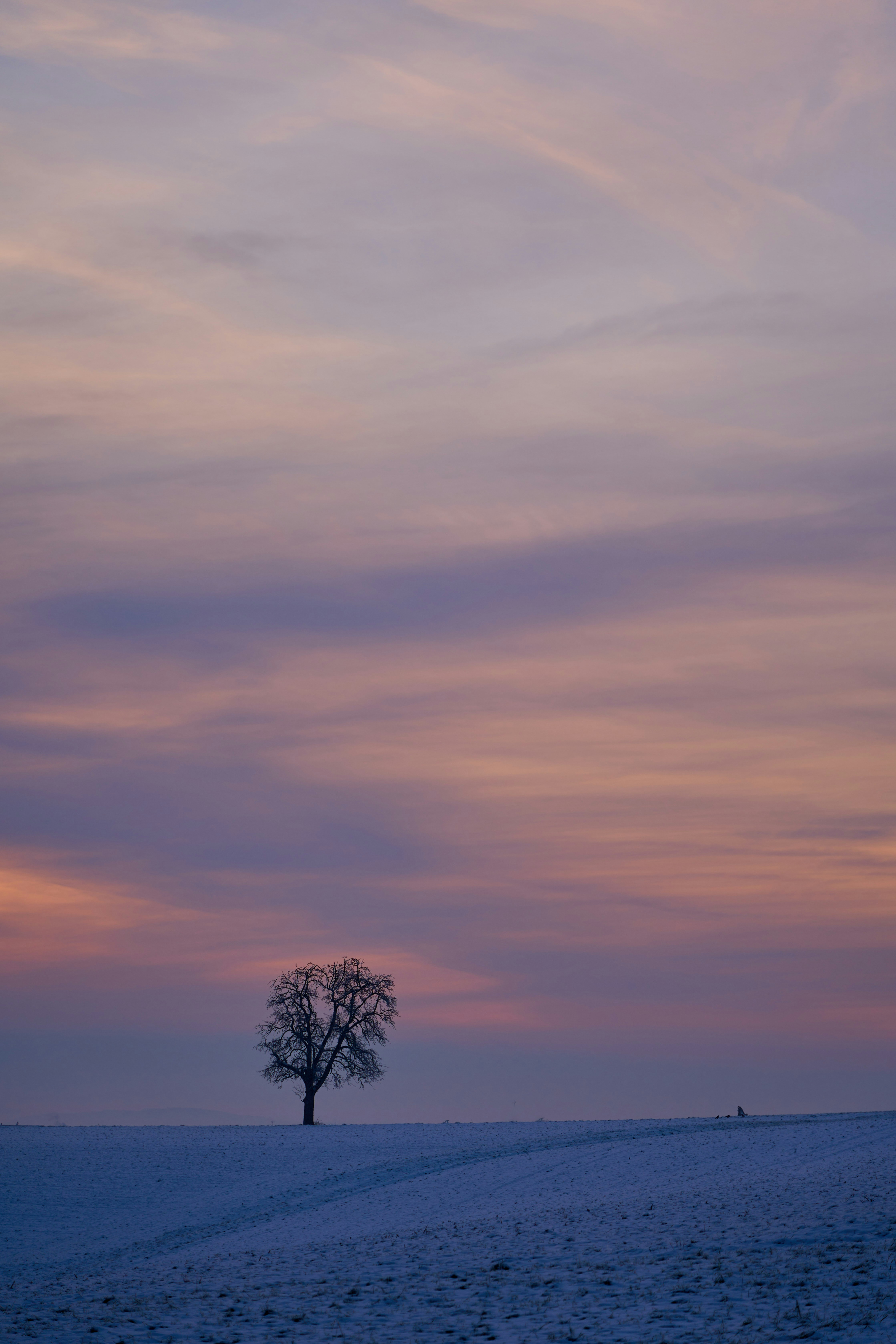 Photo by wolfgang_hasselmann