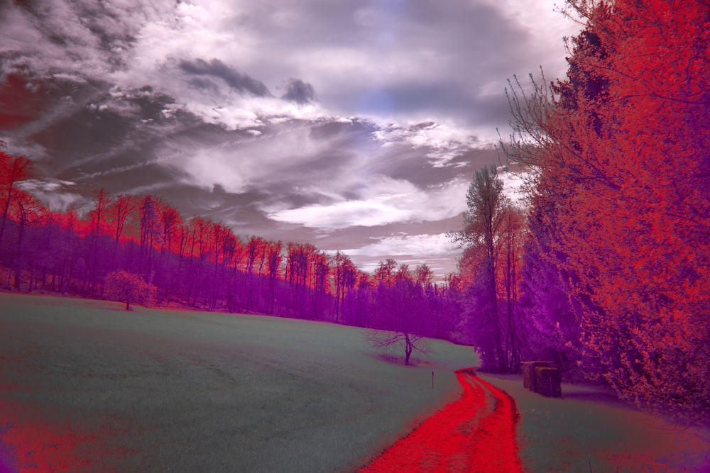a infrared image of a path in the woods
