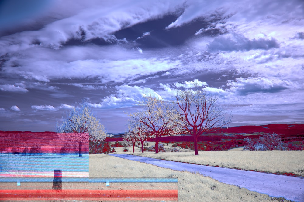 a person standing in a field under a cloudy sky