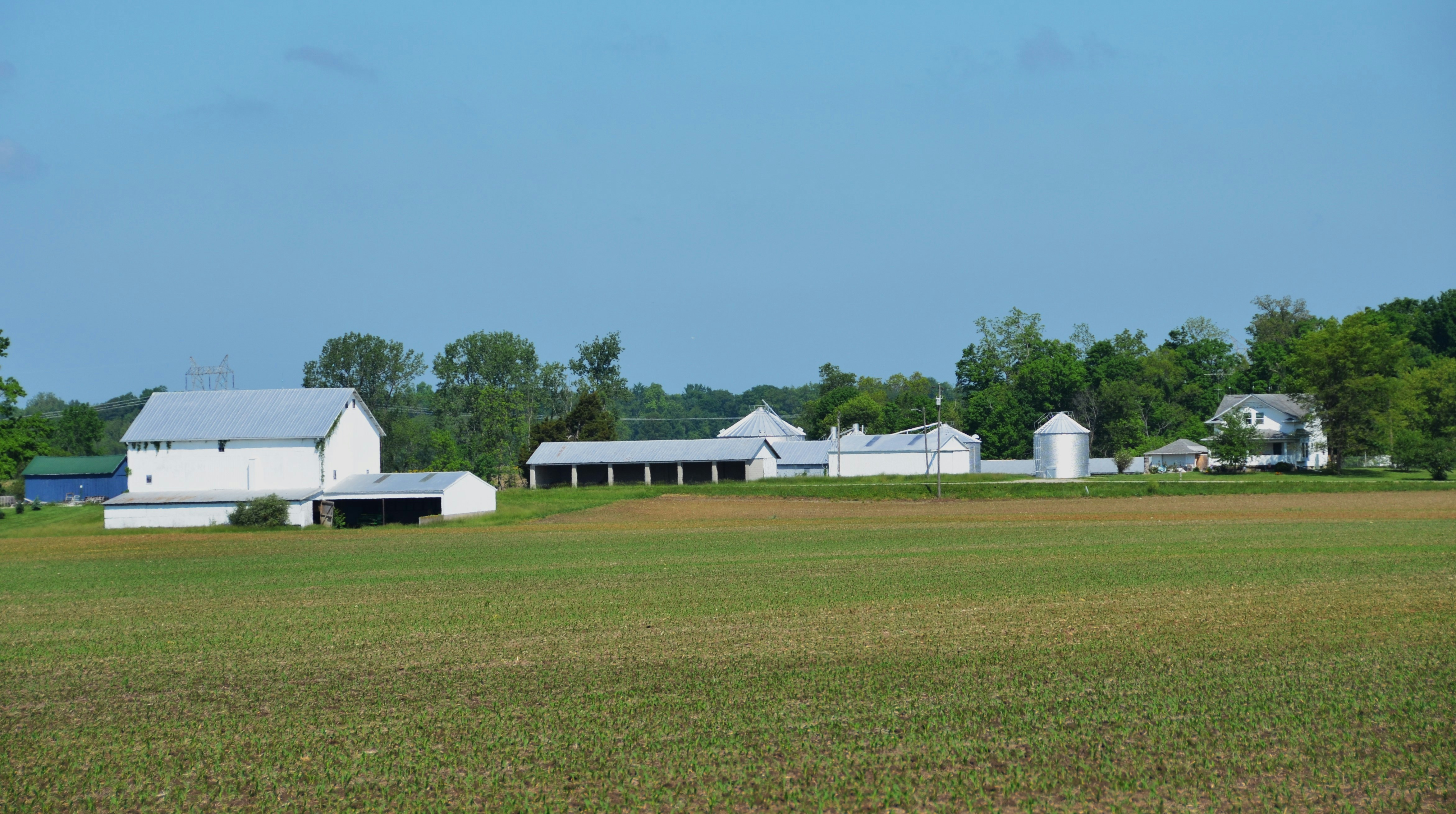 a farm with several barns and trees in the background