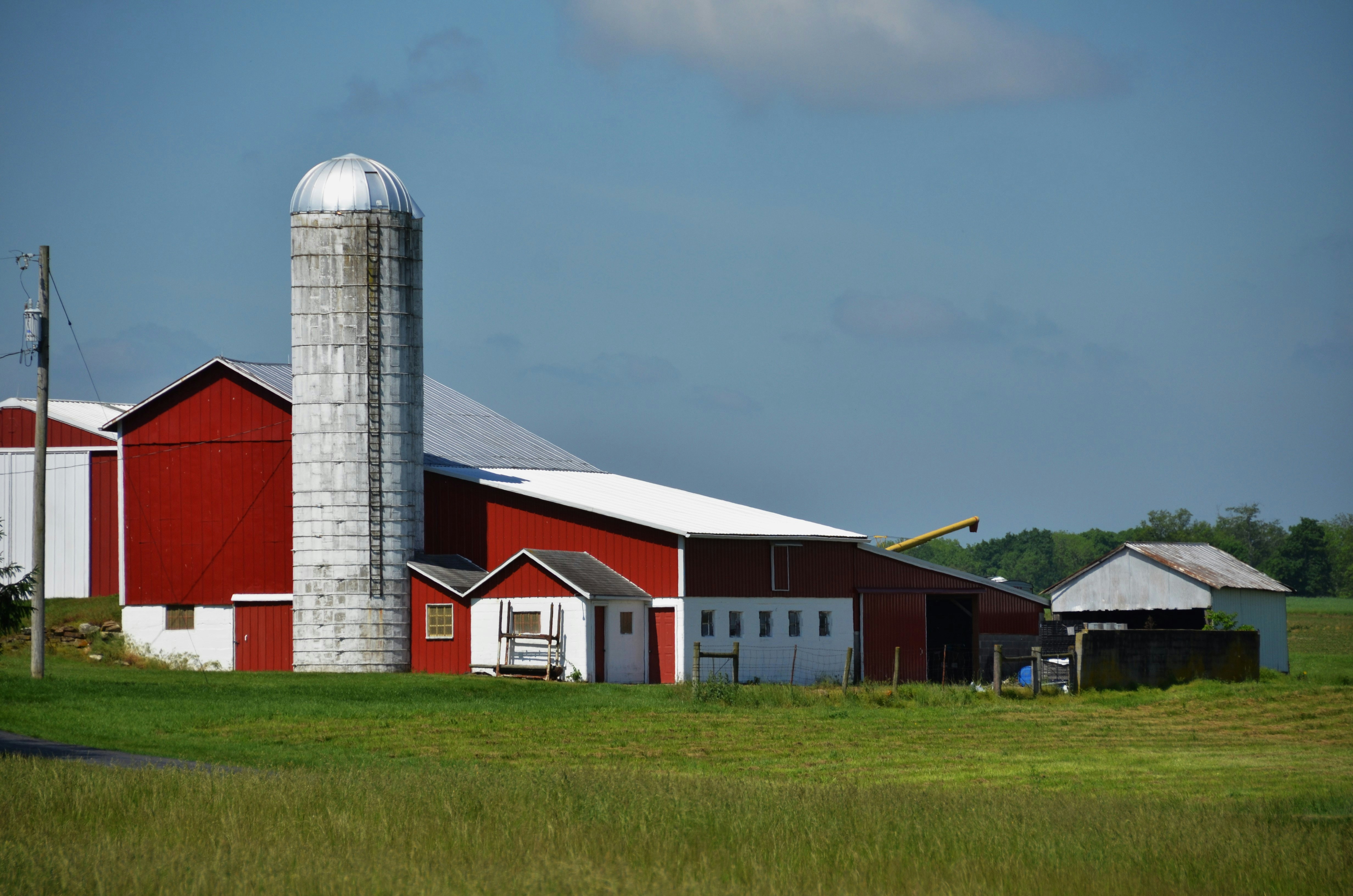 Policy Shifts to Watch and Actionable Recommendations for Regulators, Industry, and Advocates