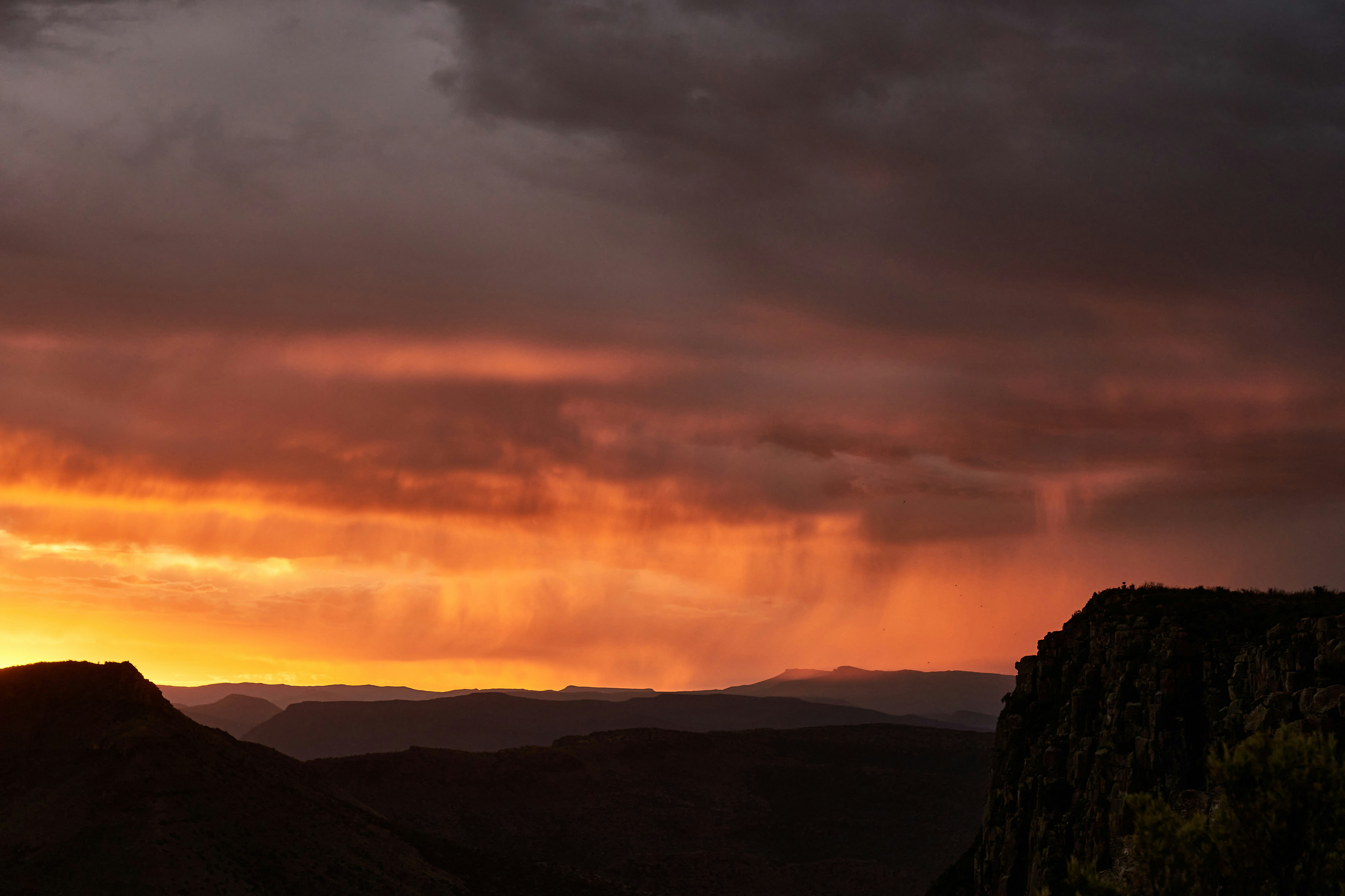 Photo by wolfgang_hasselmann