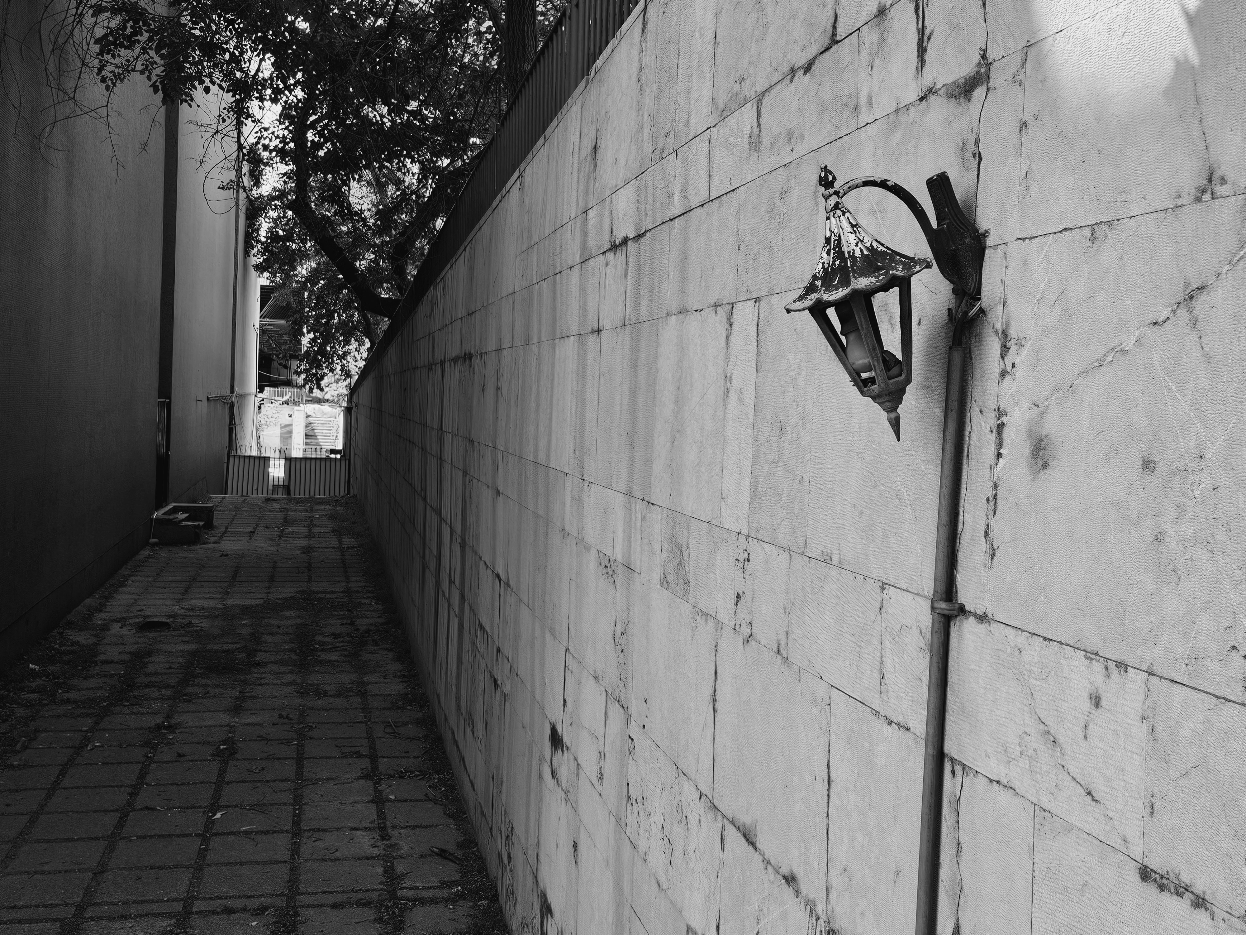 Photo by dozhamcamera