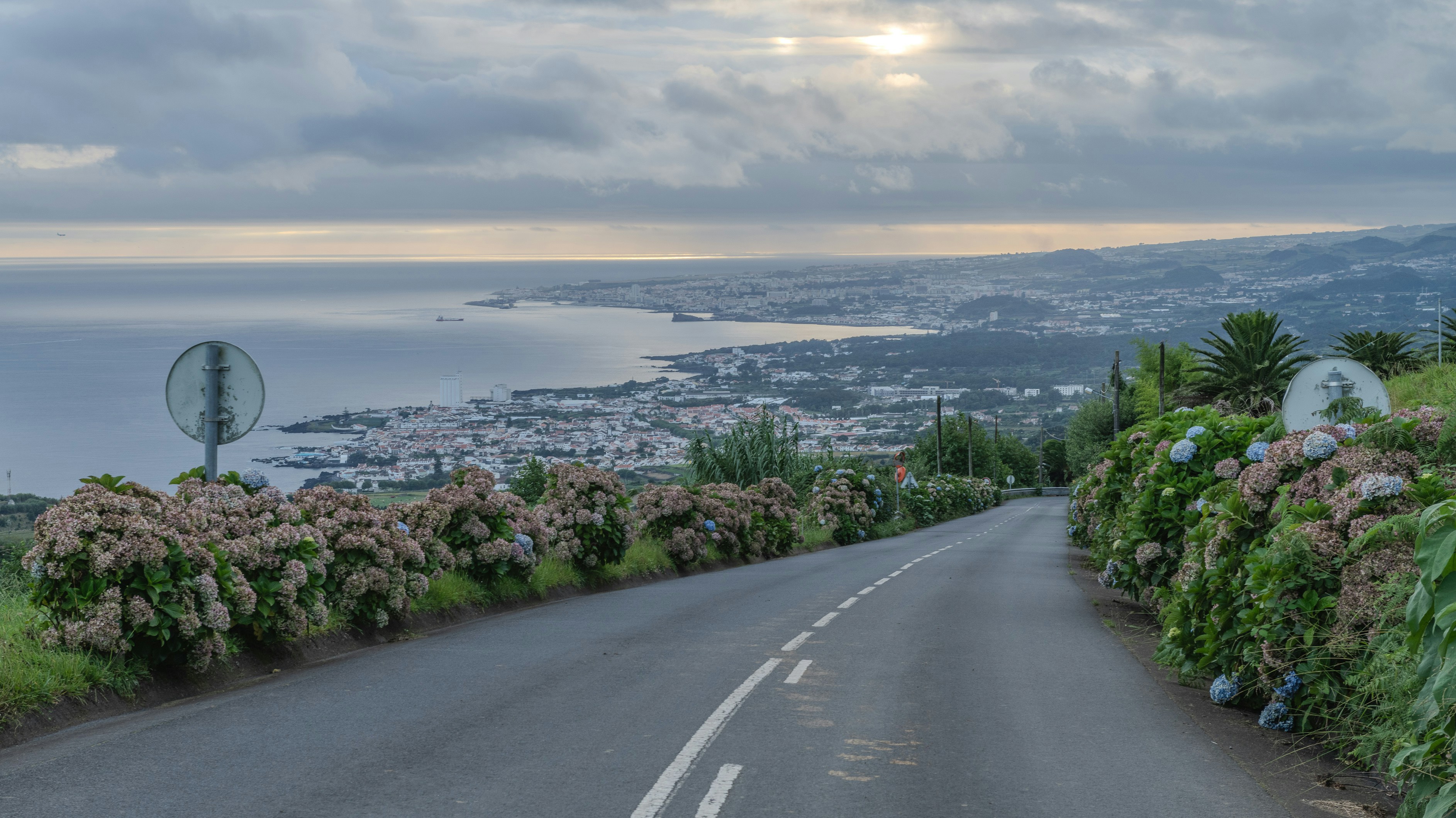a road with flowers on the side and a view of the ocean in the distance