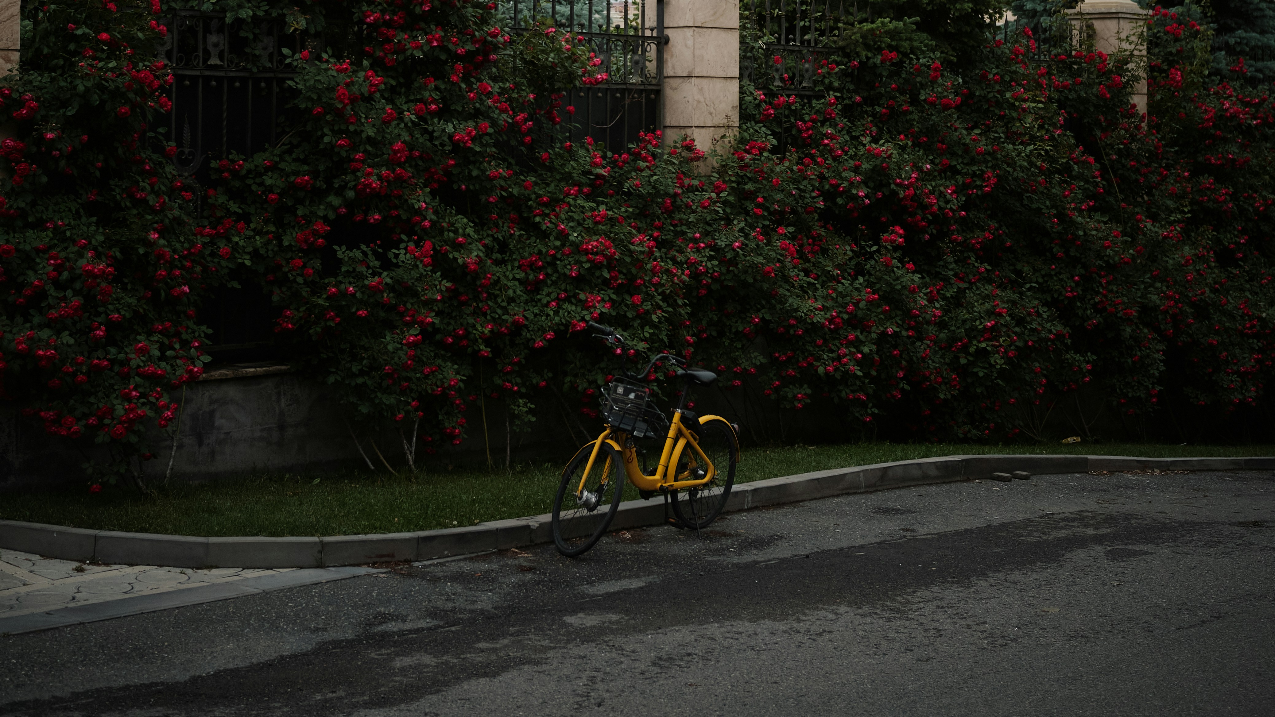 a yellow bicycle parked on the side of the road