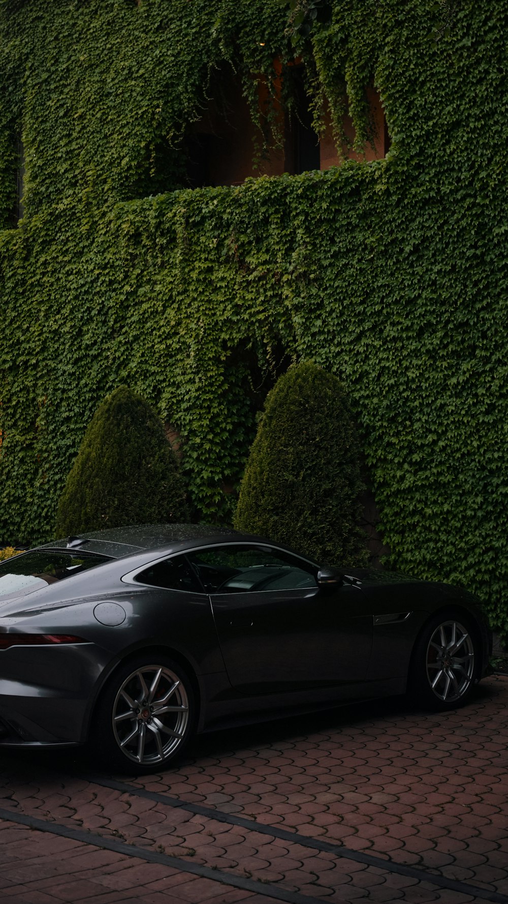 a black sports car parked in front of a green hedge