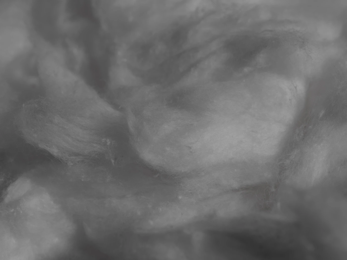 A close pile of clean raw cotton fibre
