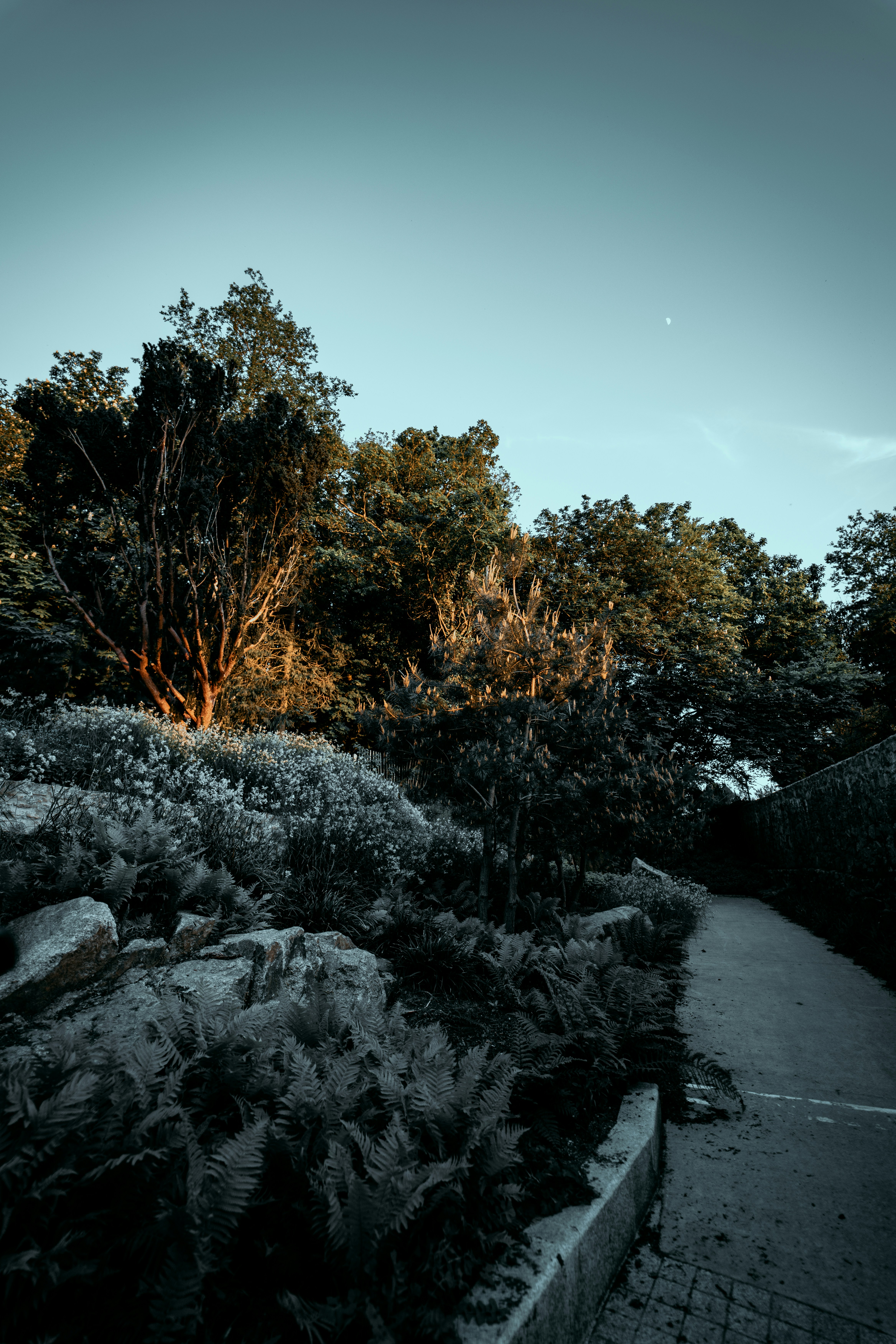 Photo by margauxbebin