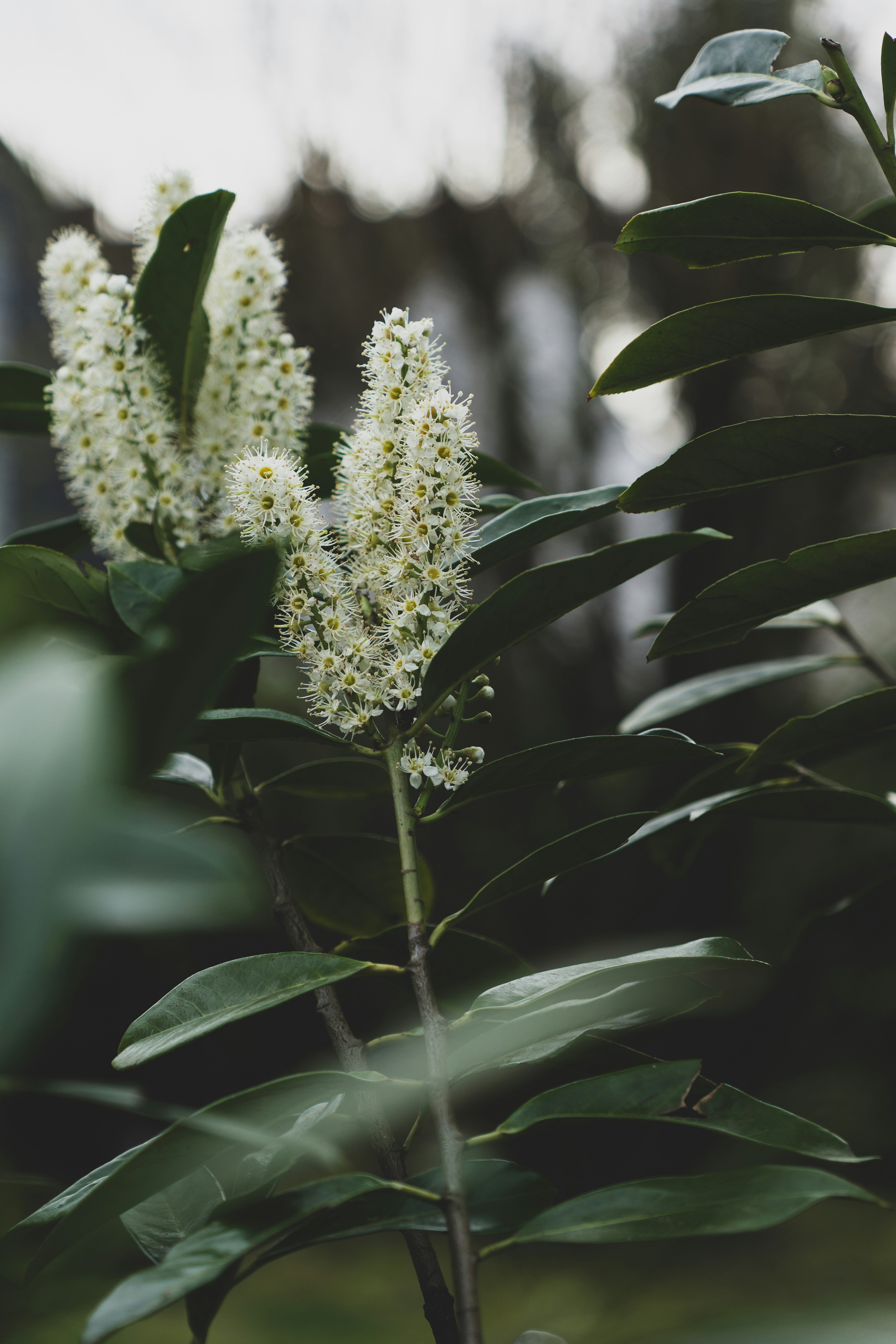 Photo by robertschwarz