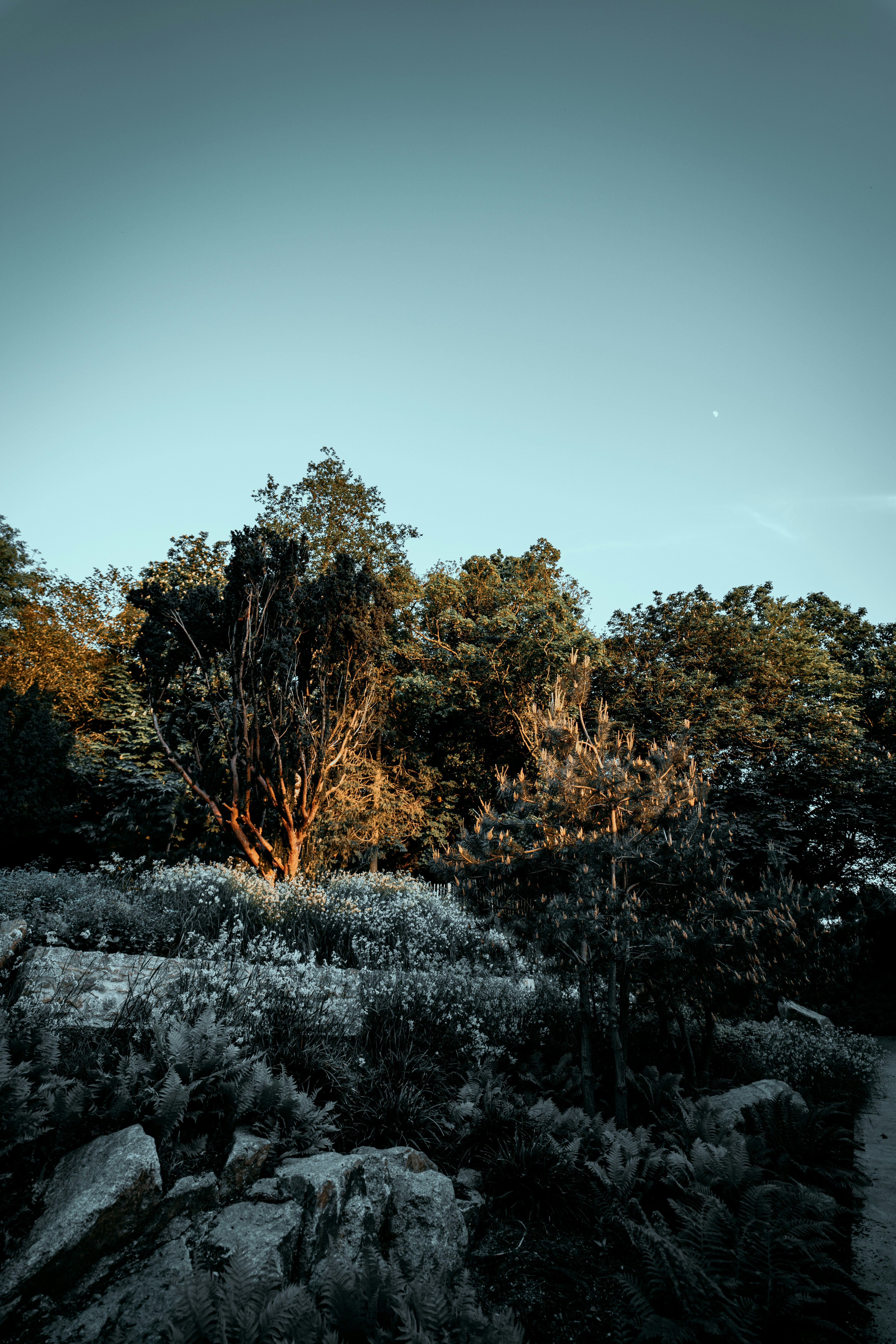 Photo by margauxbebin