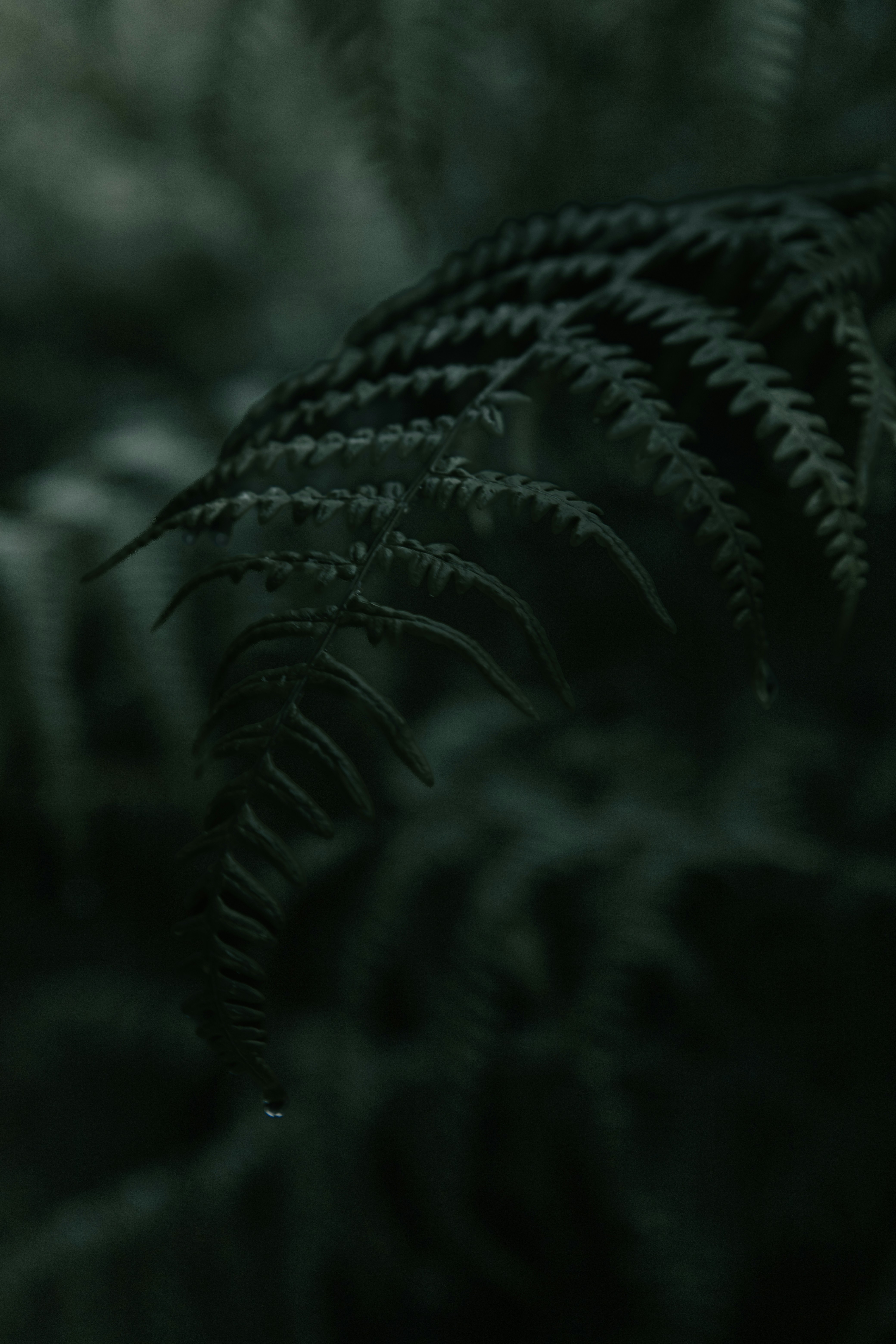 Photo by denx_street