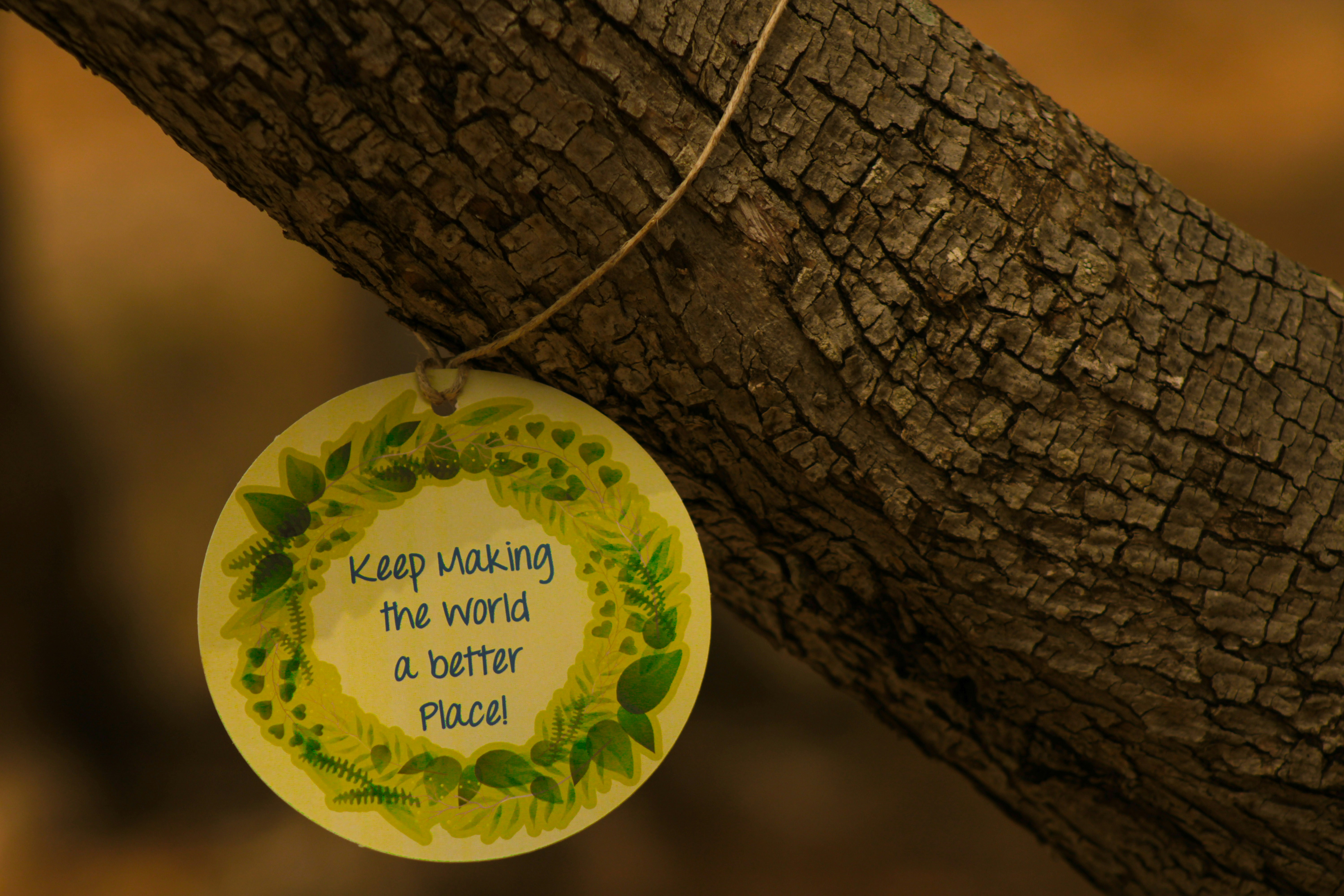 ein Keramikornament, das an einem Baum hängt