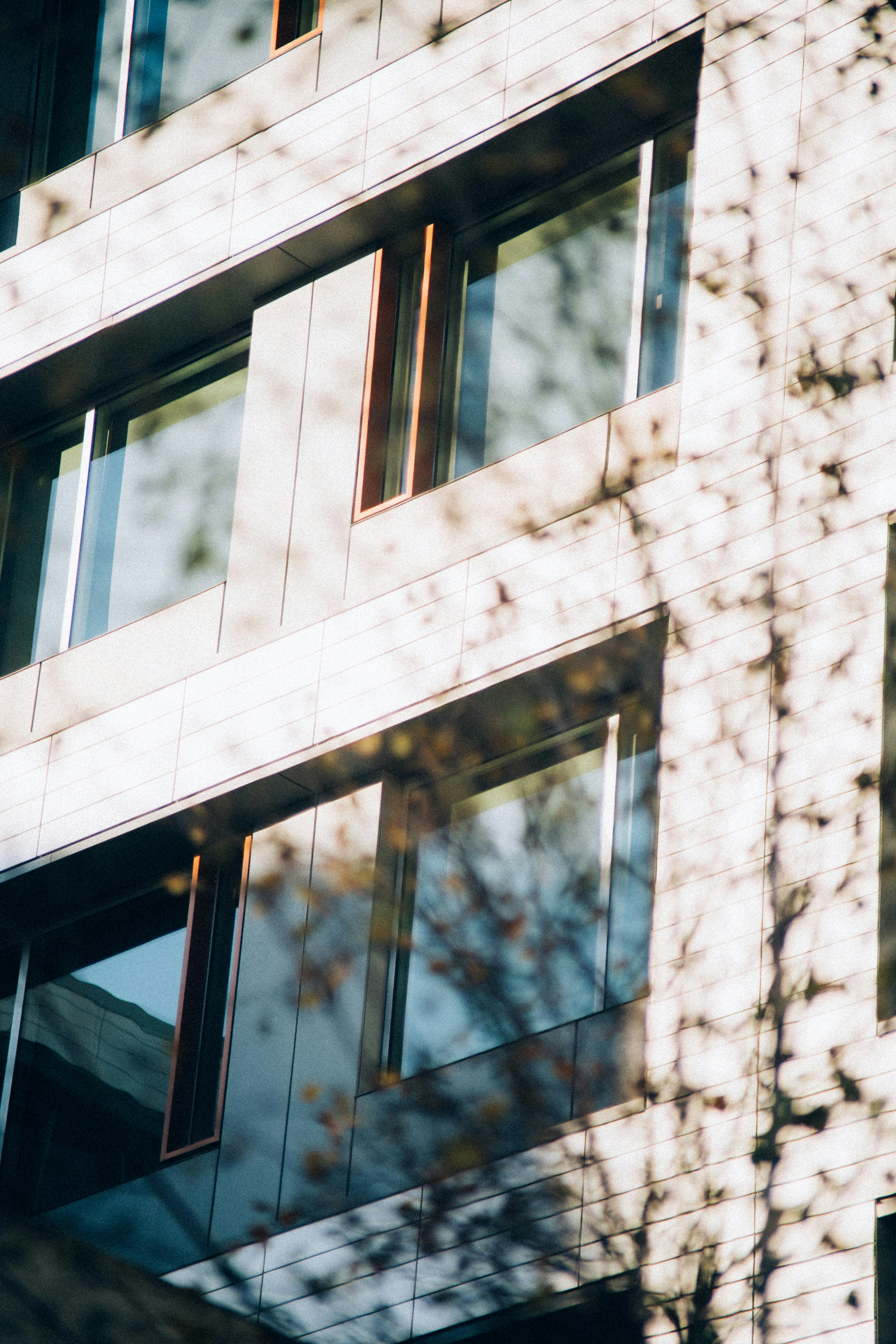 Photo by steloutside