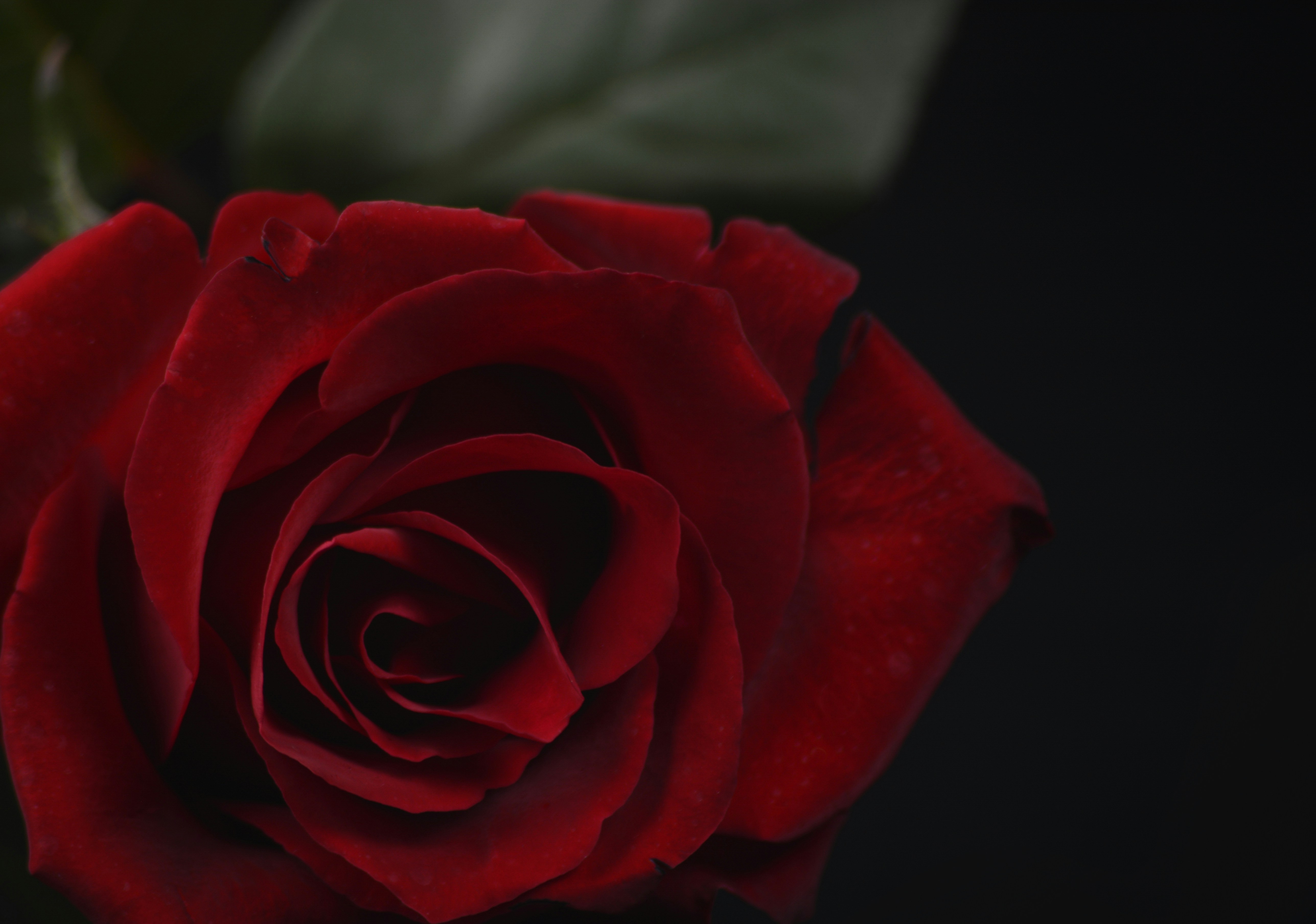 Photo by rene_lehmkuhl