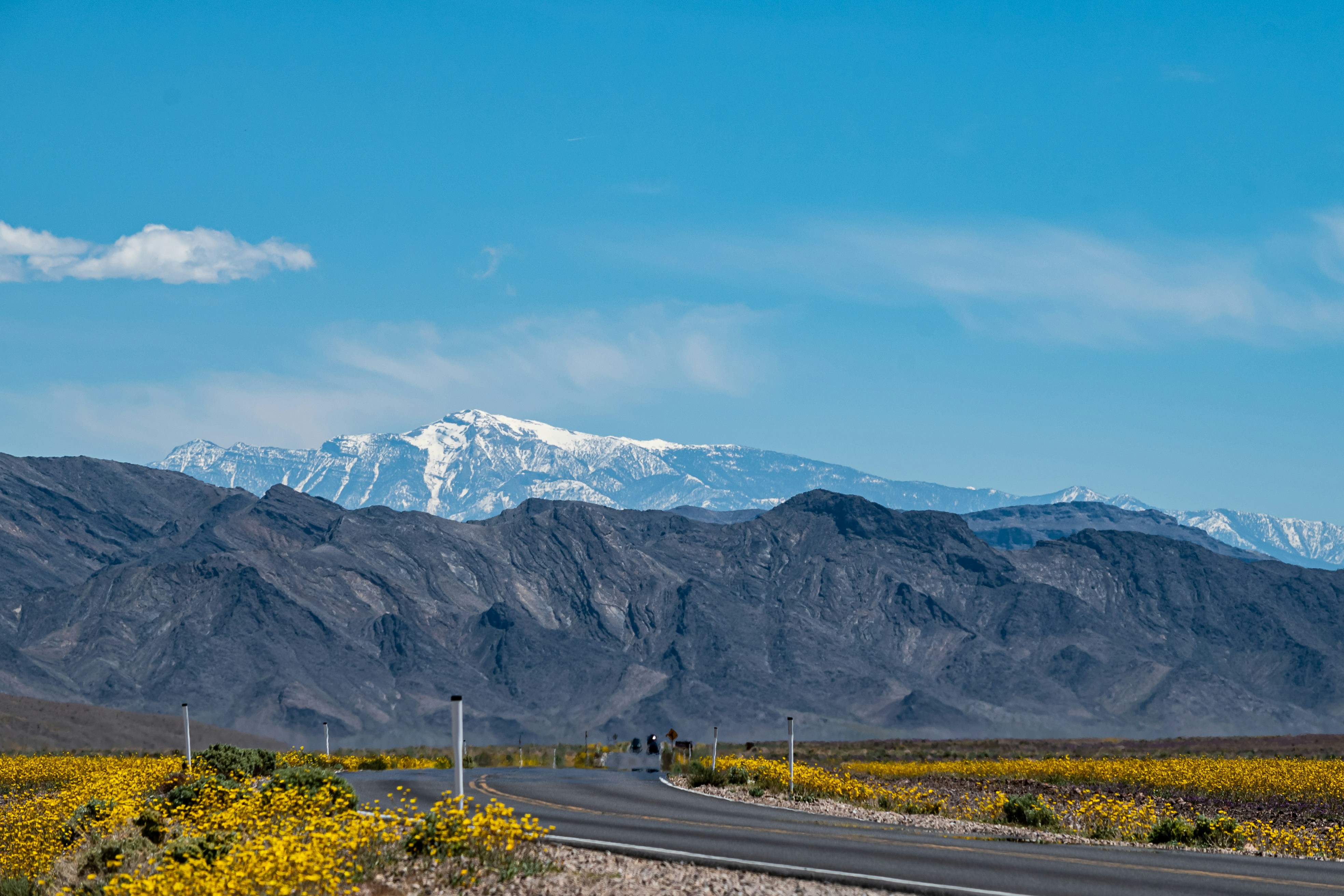 Photo by meenakshibose