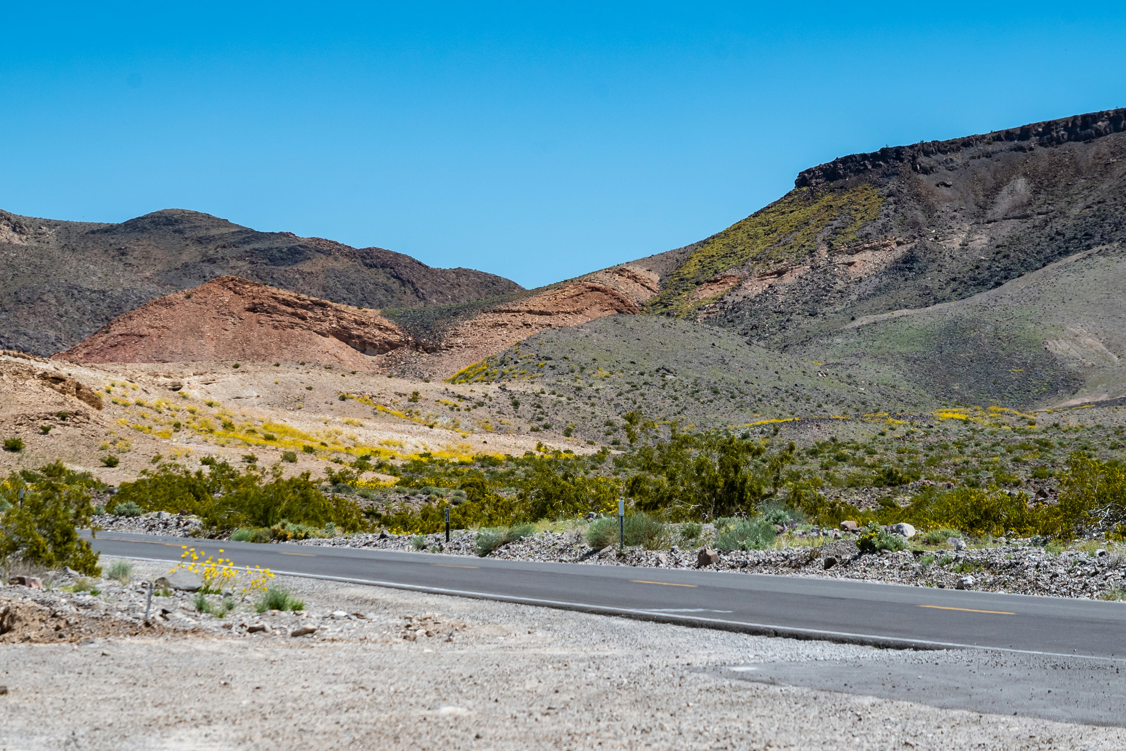 Photo by meenakshibose