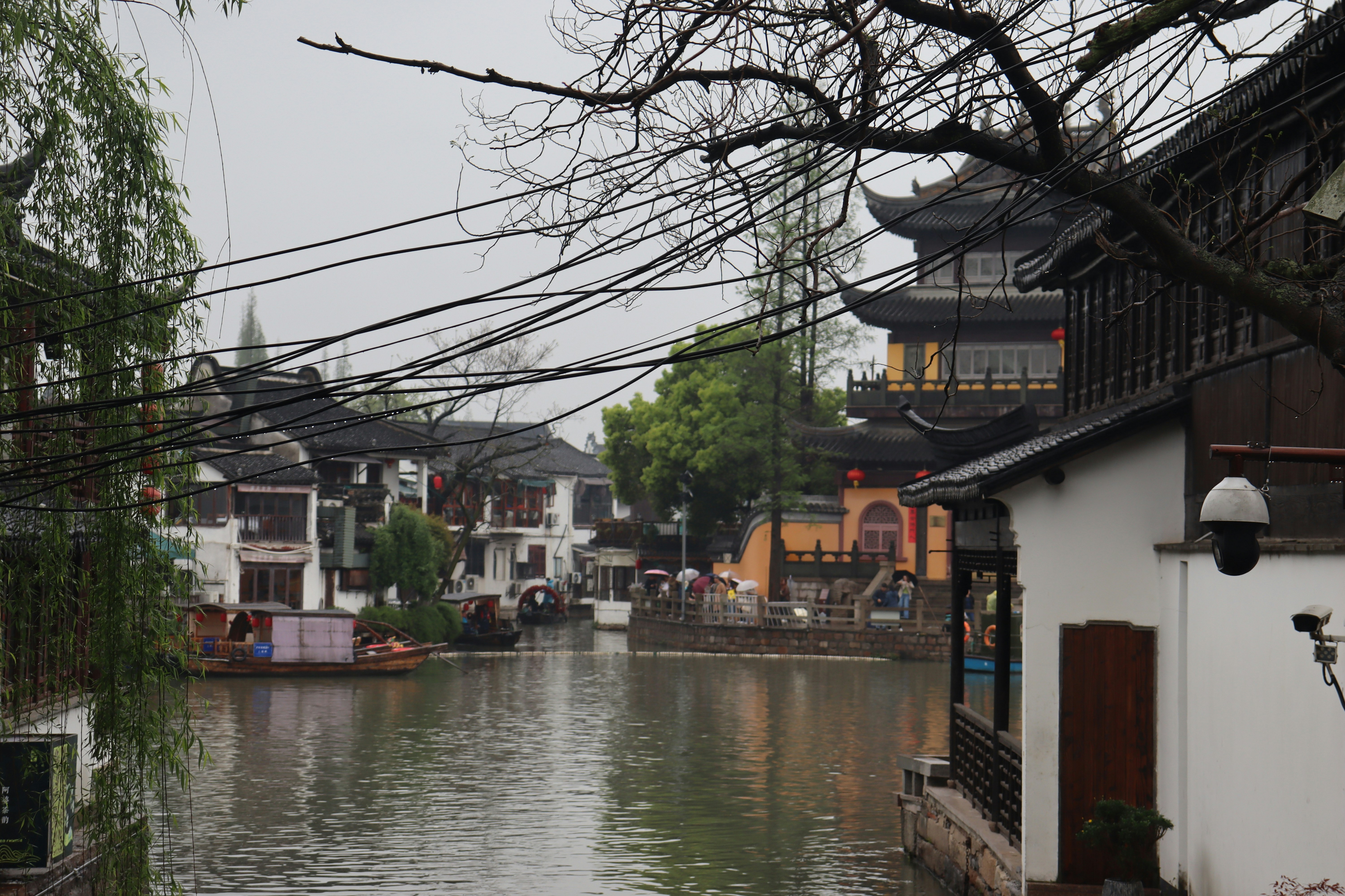 Photo by alicja_photos