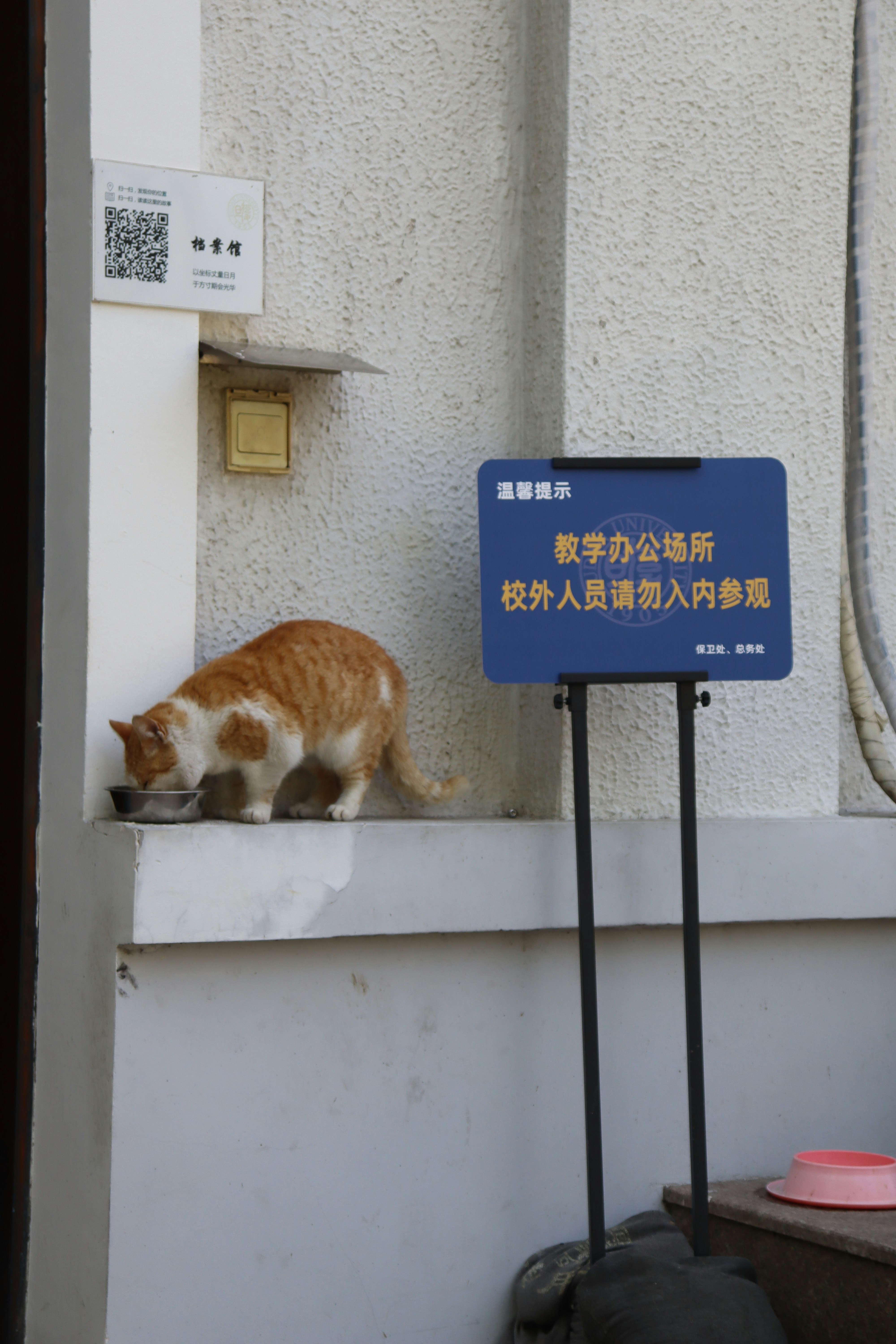 a cat sitting on a ledge next to a sign