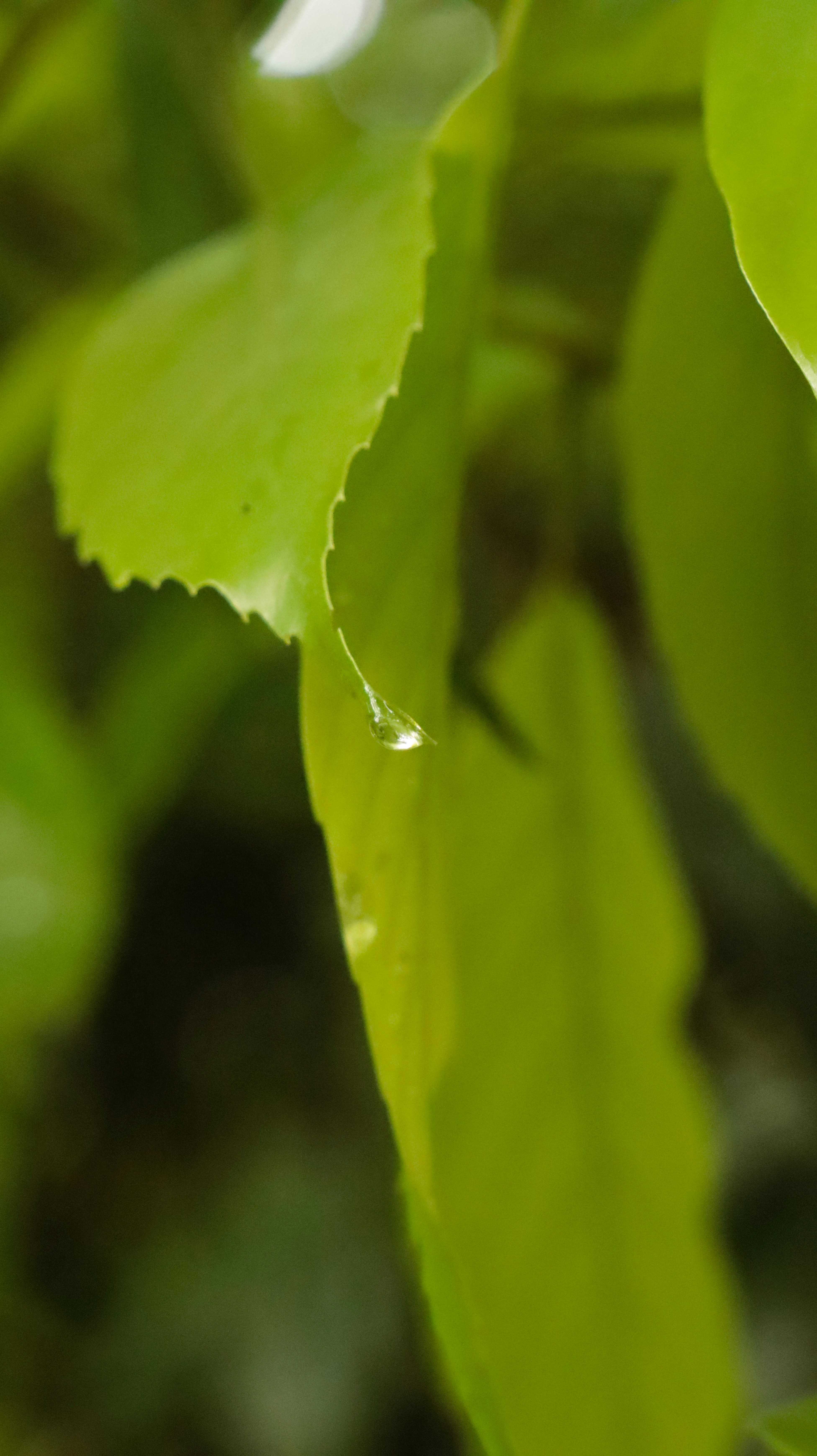 Photo by onikyoukan747