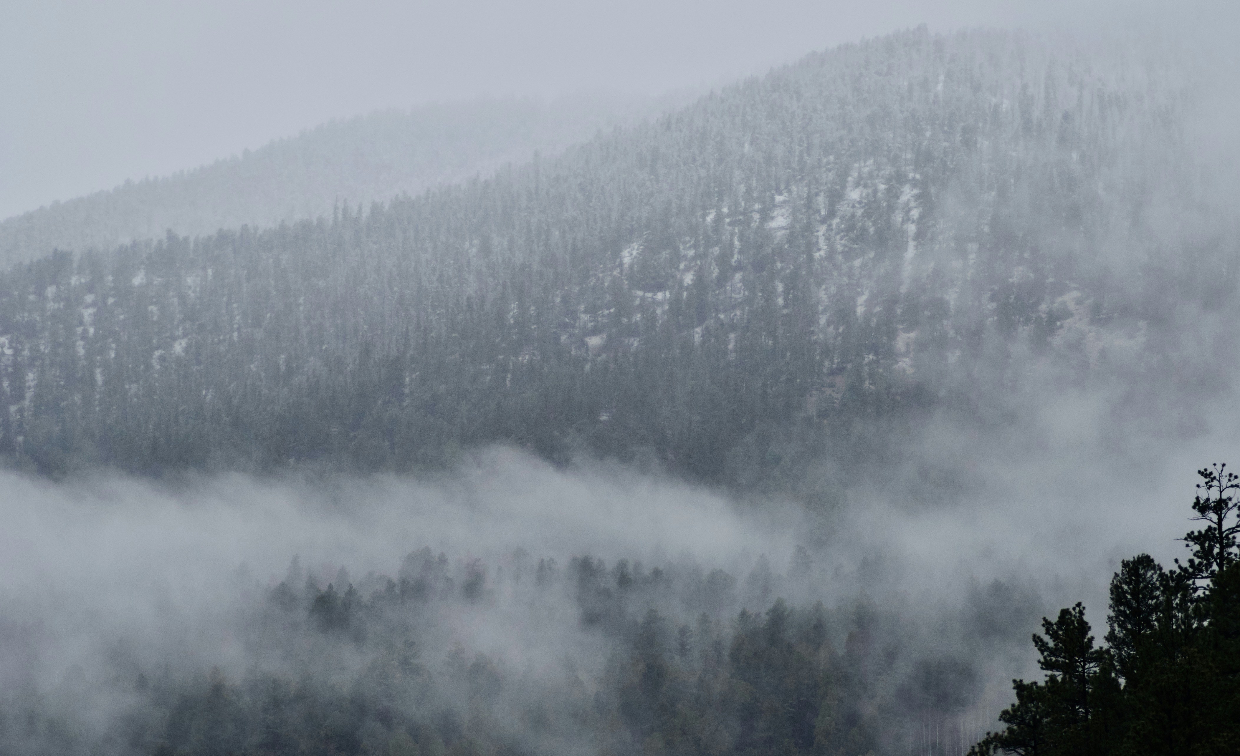 Photo by alexanderphotography