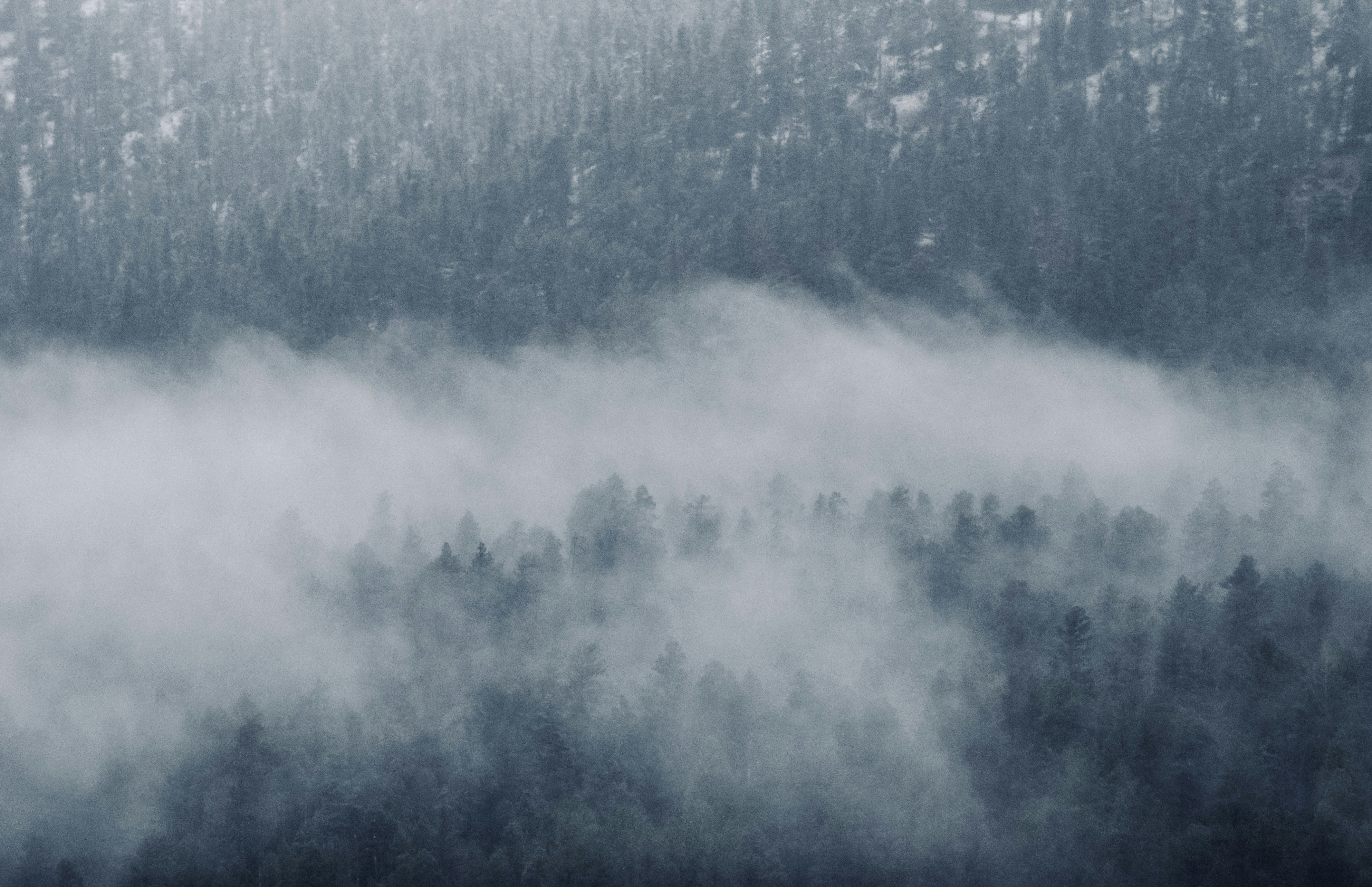 Photo by alexanderphotography