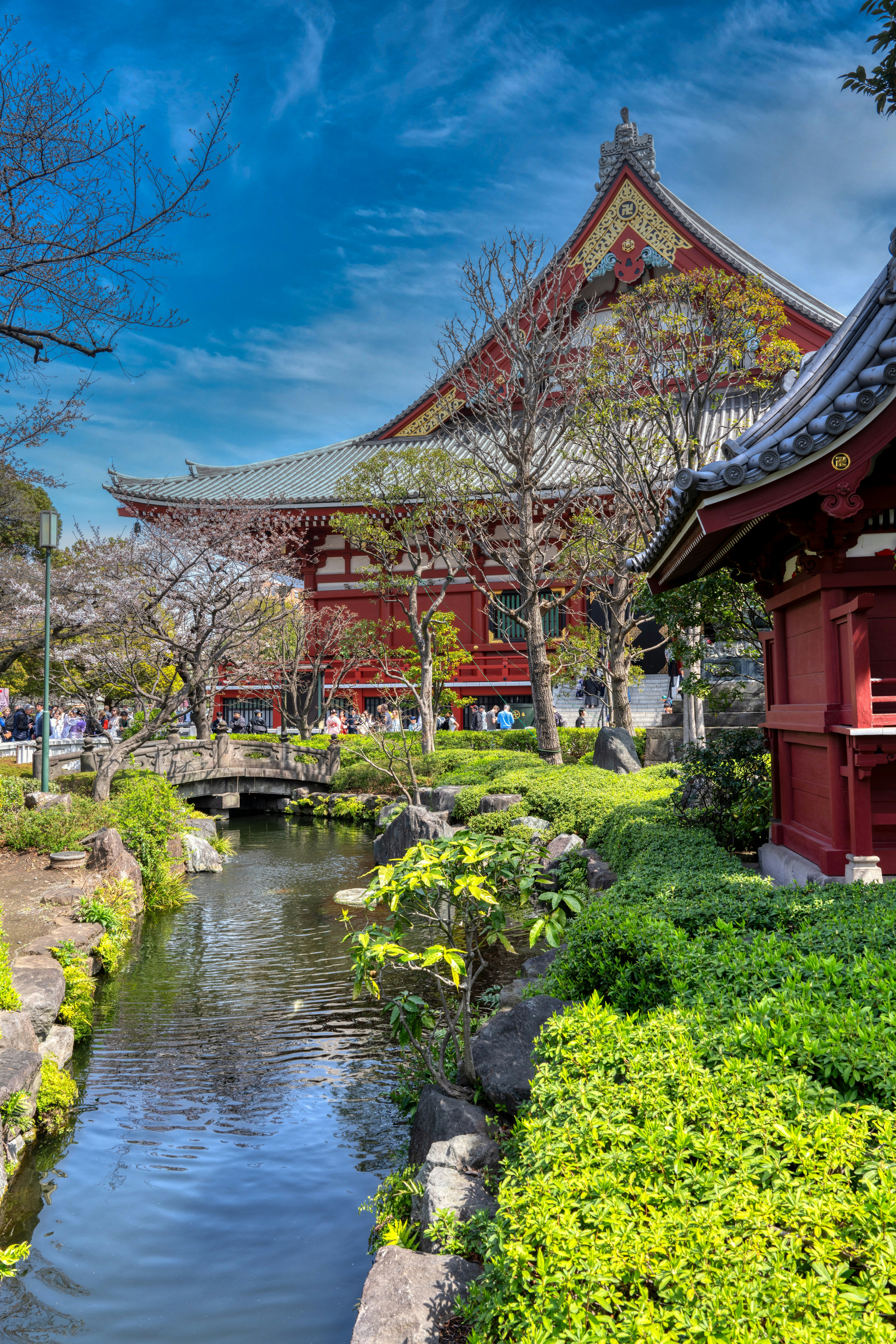 a small stream running through a lush green park