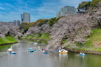 a group of boats floating on chidorigafuchi