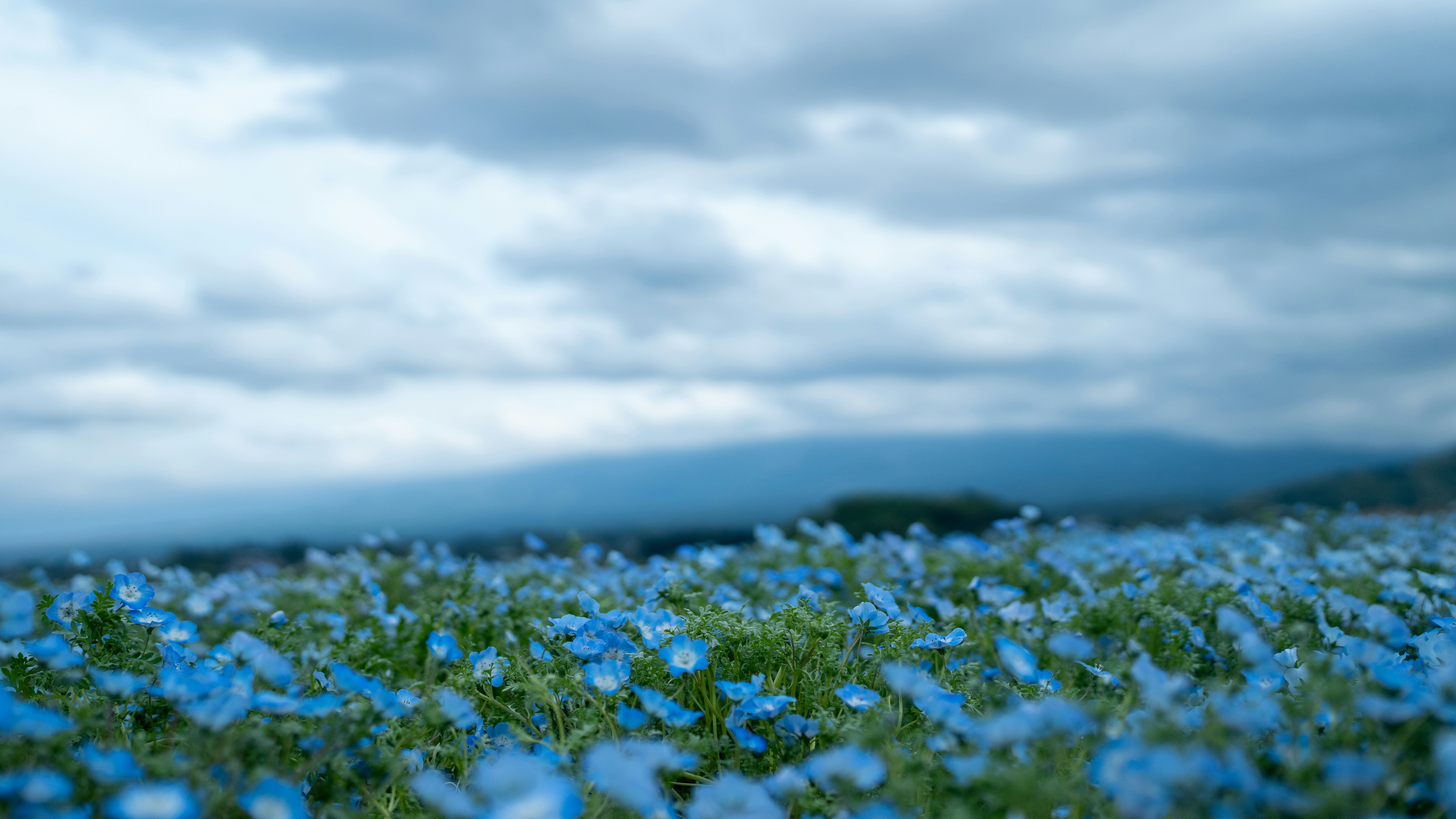 Wybaczenie to klucz, który otwiera drzwi do spokoju, wolności i szczęścia
