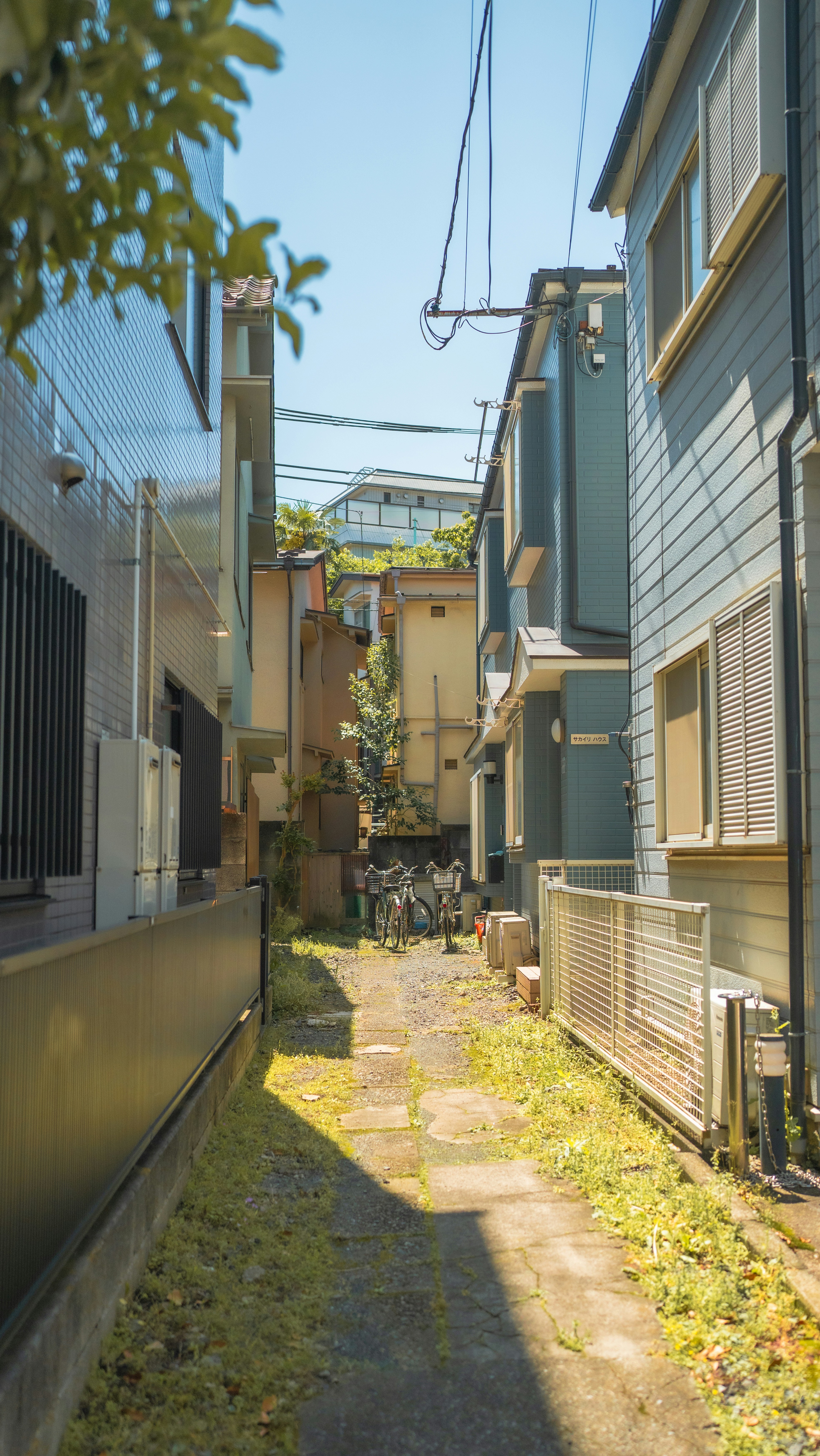 Photo by hyewonphotography