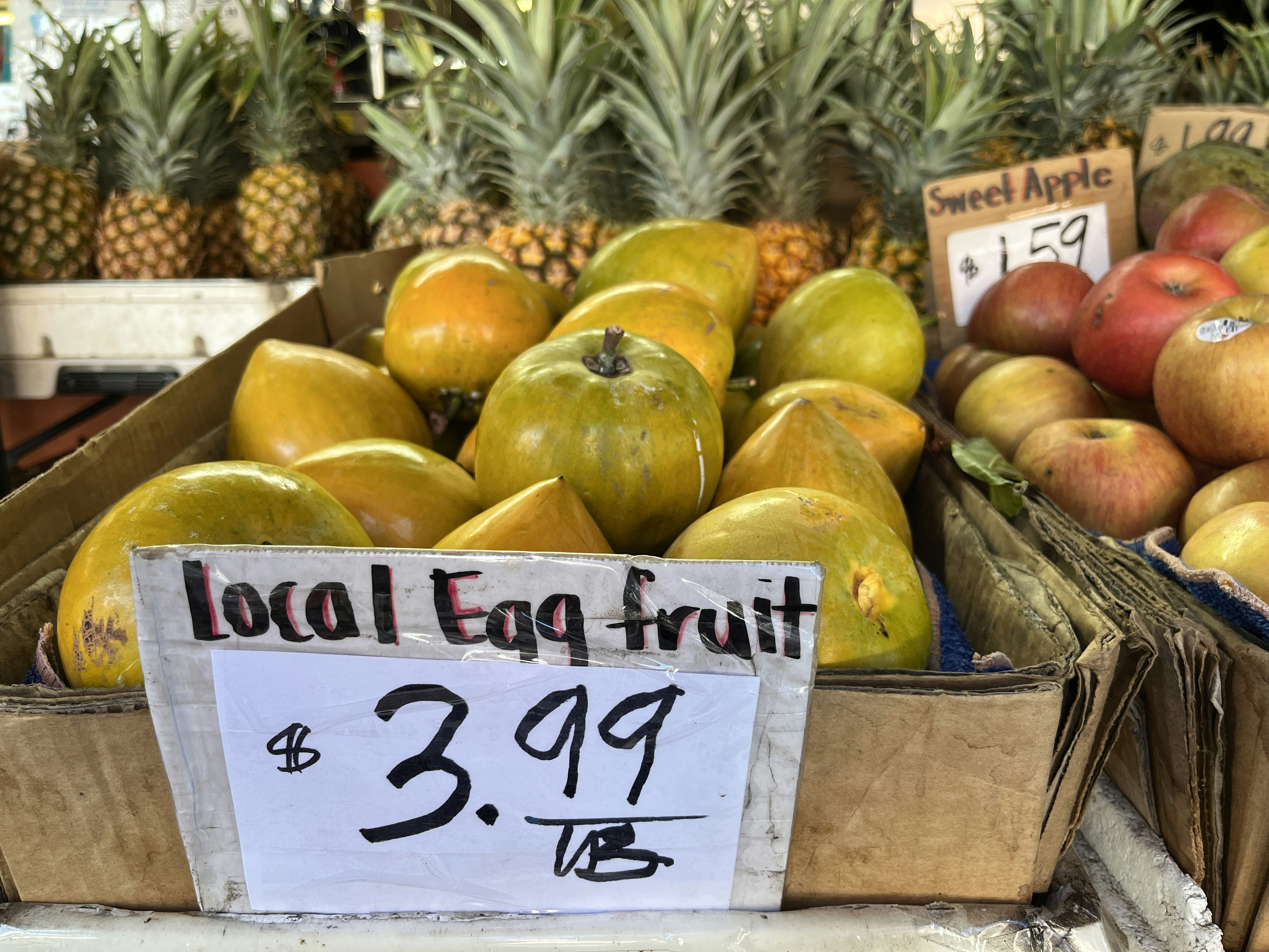 Navigating Credit Card Debt: What You Need to Know