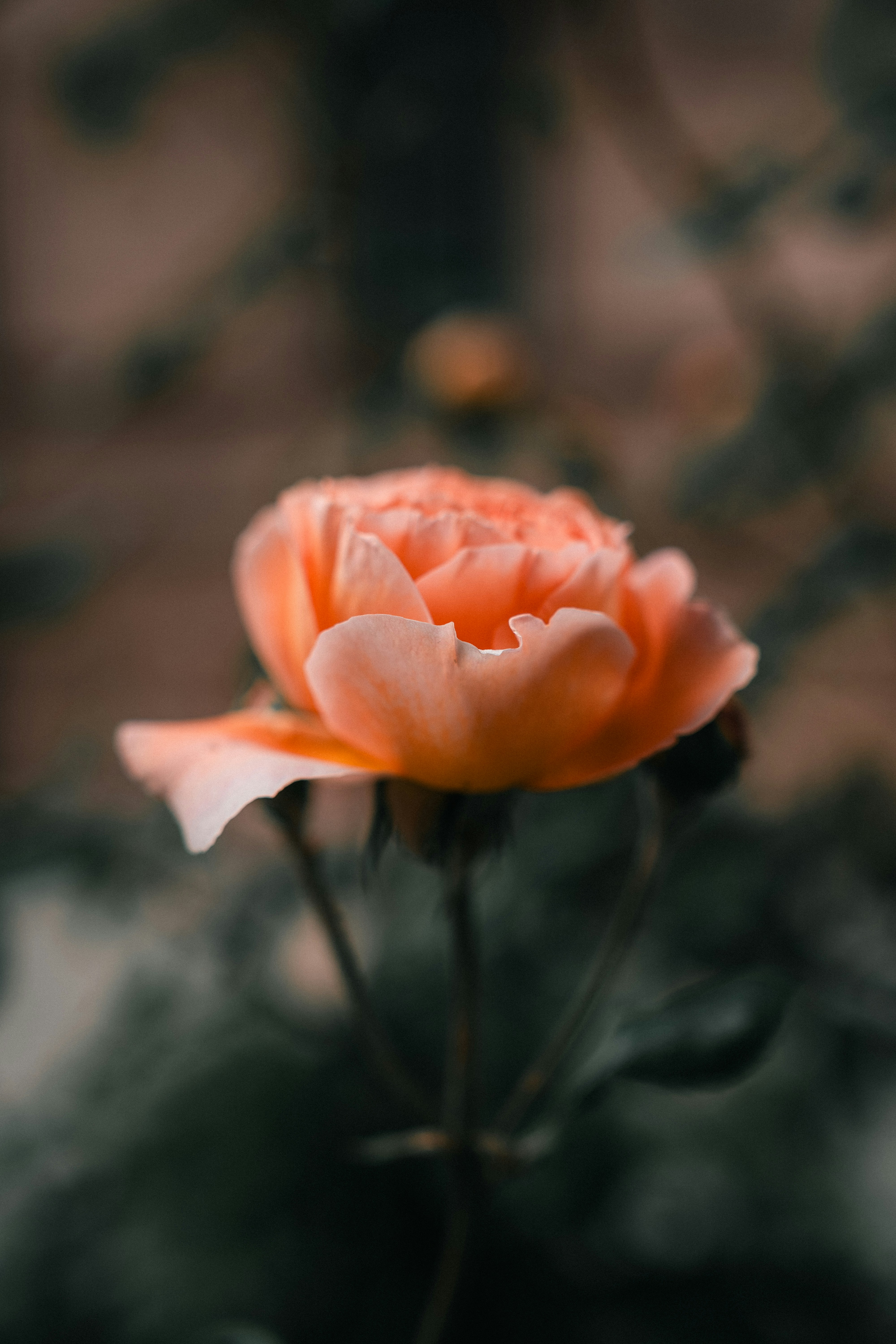 Photo by bangscreative