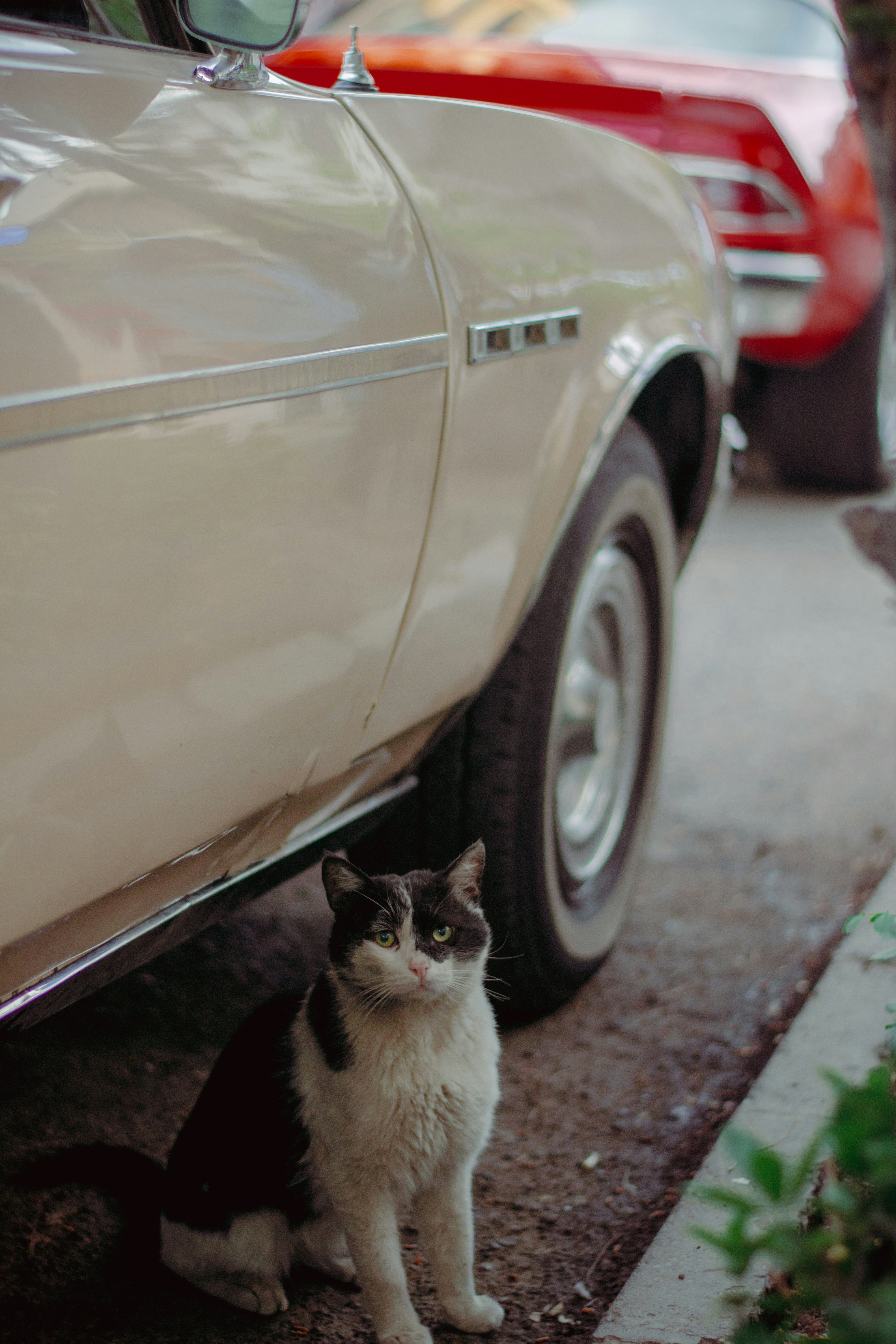 Photo by ilostmyselfout